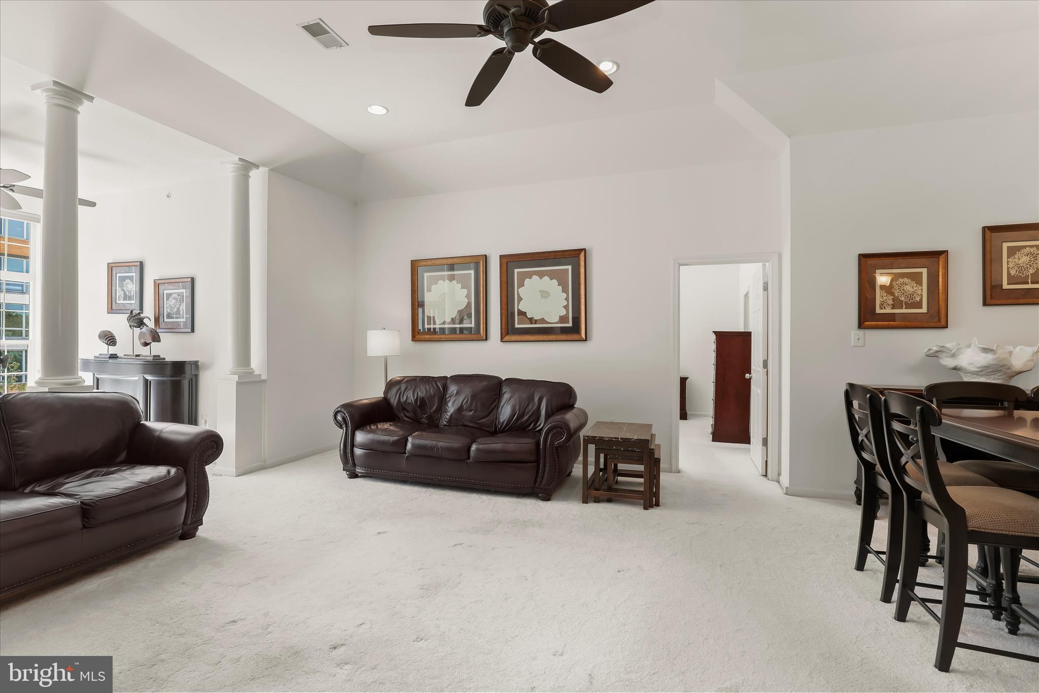 THE WHITNEY TOWN CENTER - Residential