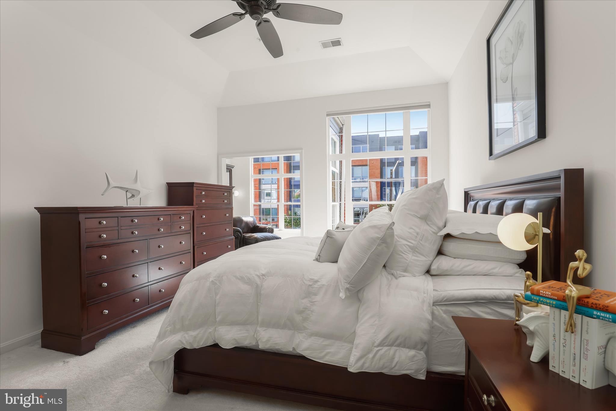 THE WHITNEY TOWN CENTER - Residential