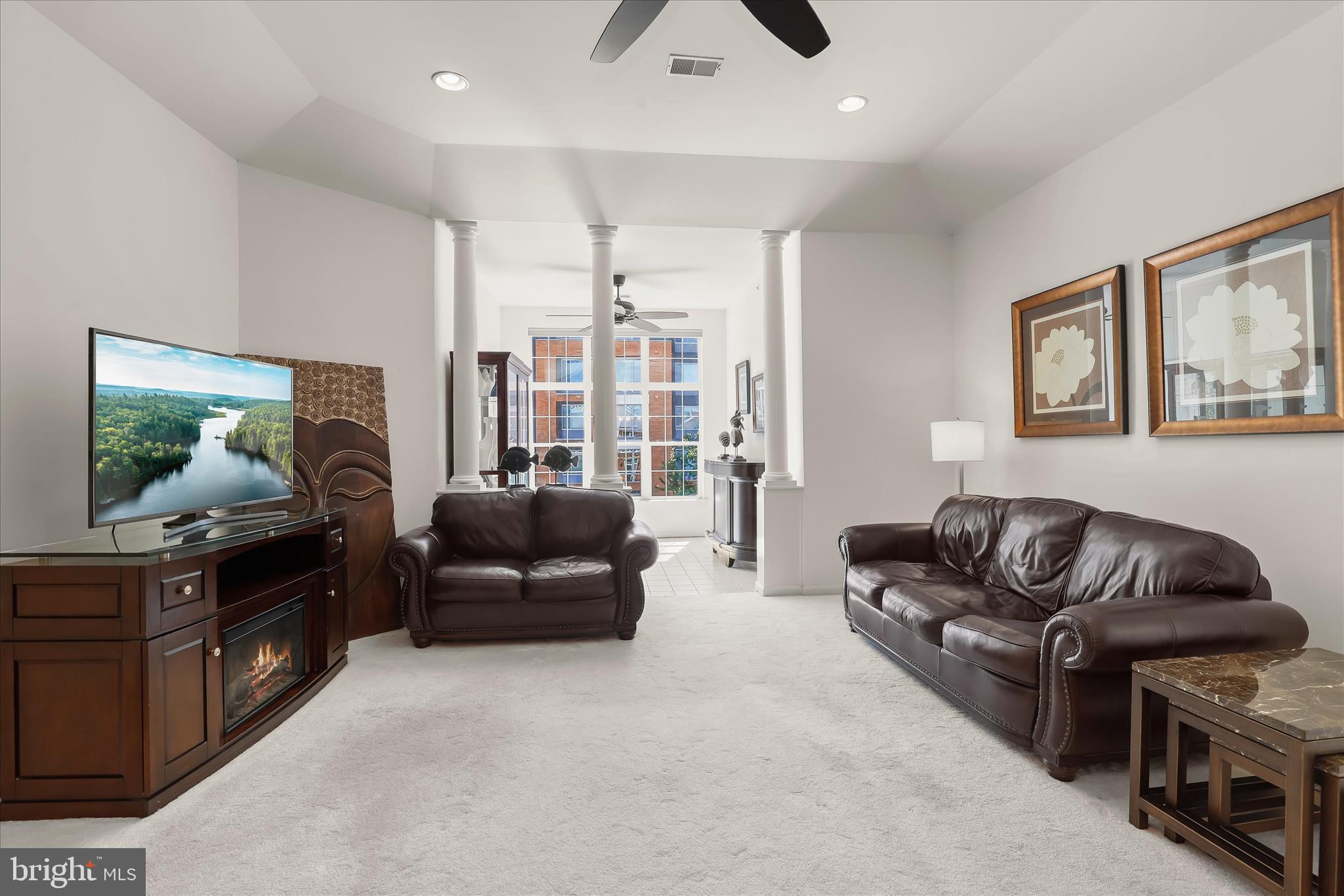 THE WHITNEY TOWN CENTER - Residential