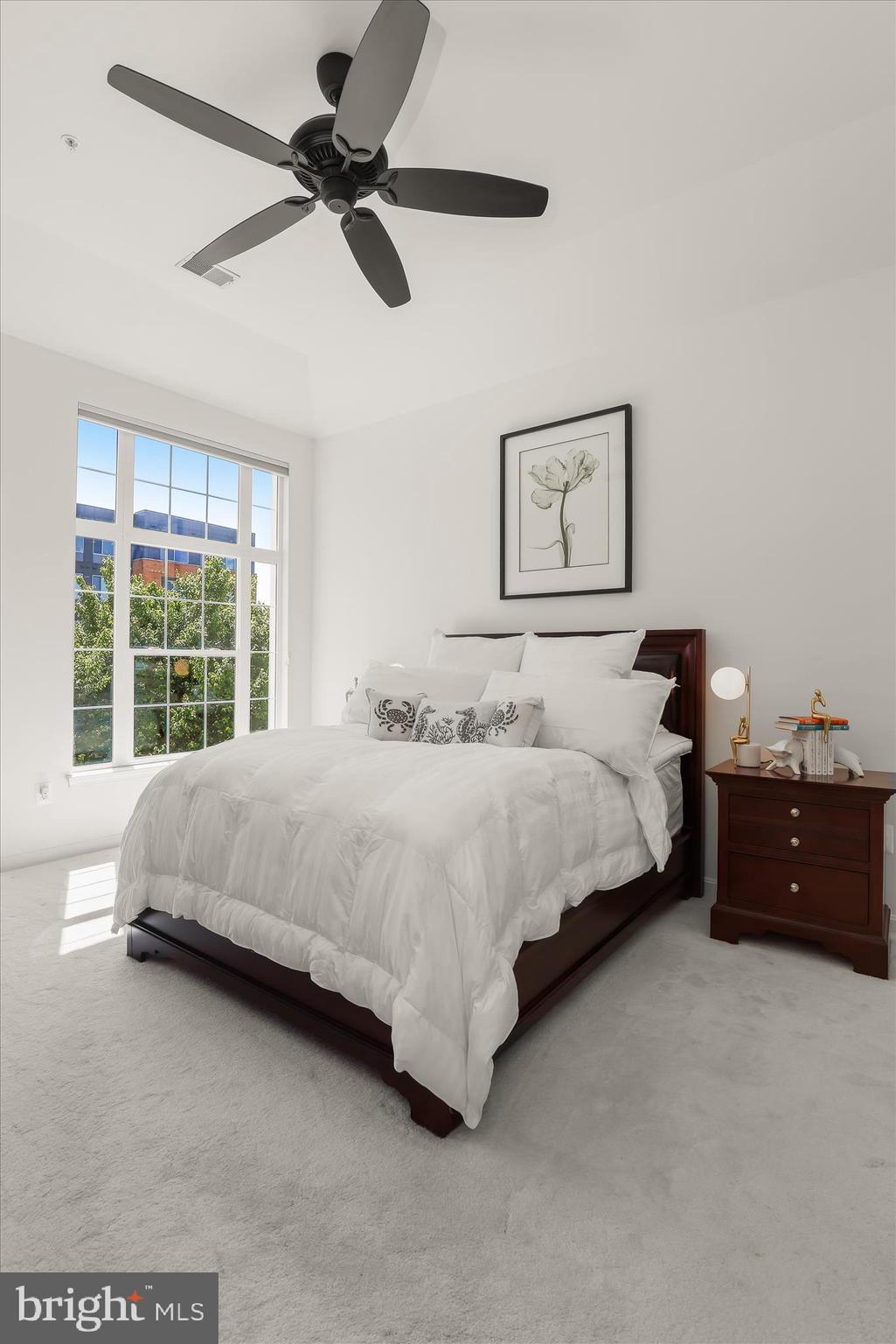 THE WHITNEY TOWN CENTER - Residential