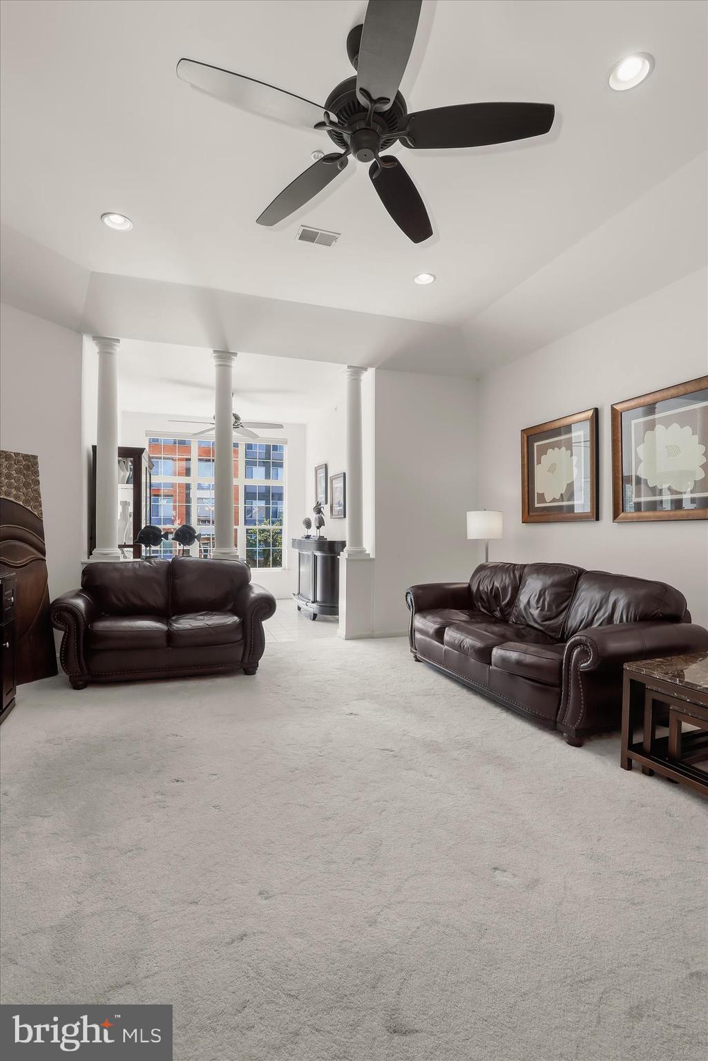 THE WHITNEY TOWN CENTER - Residential