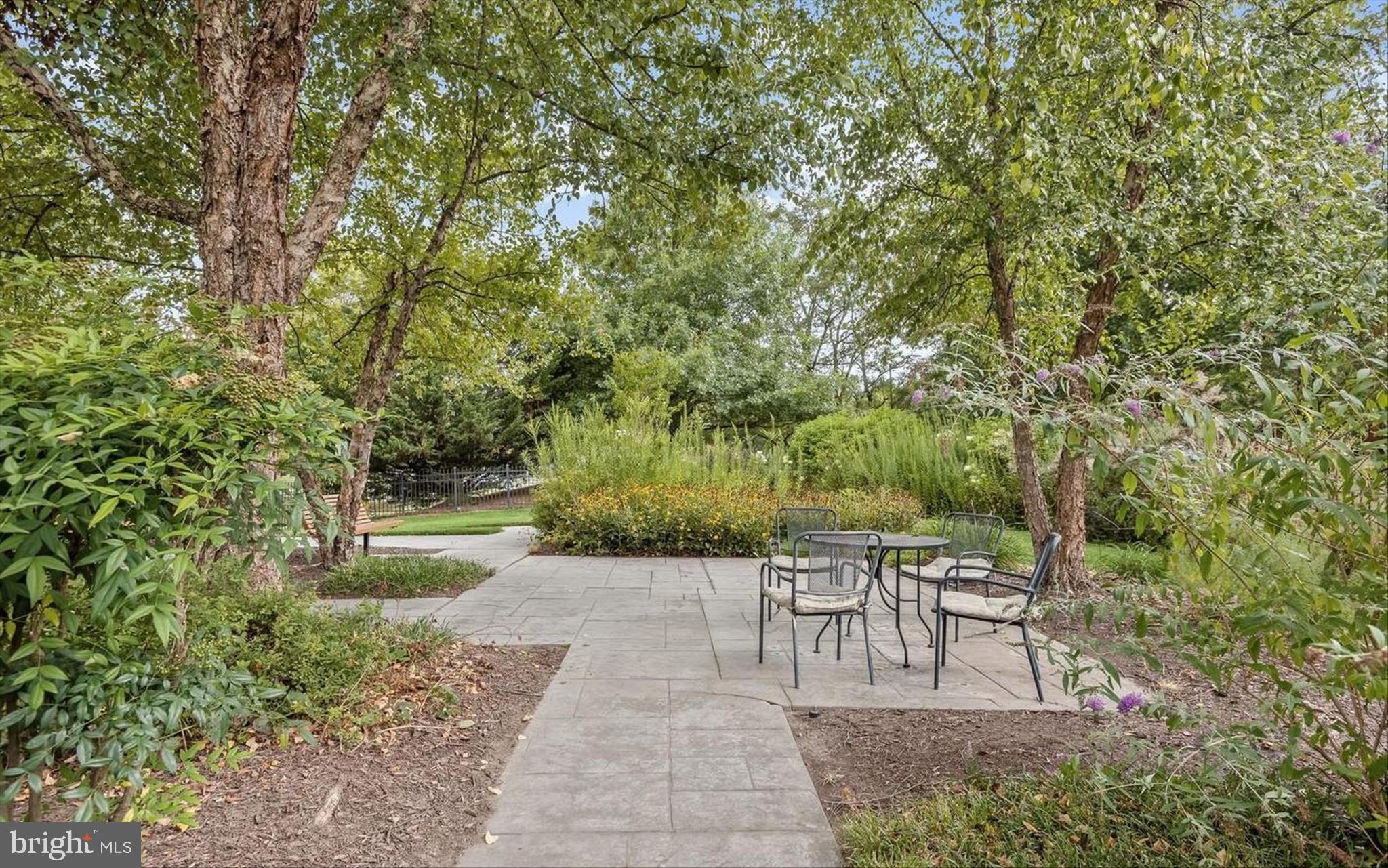 THE WHITNEY TOWN CENTER - Residential