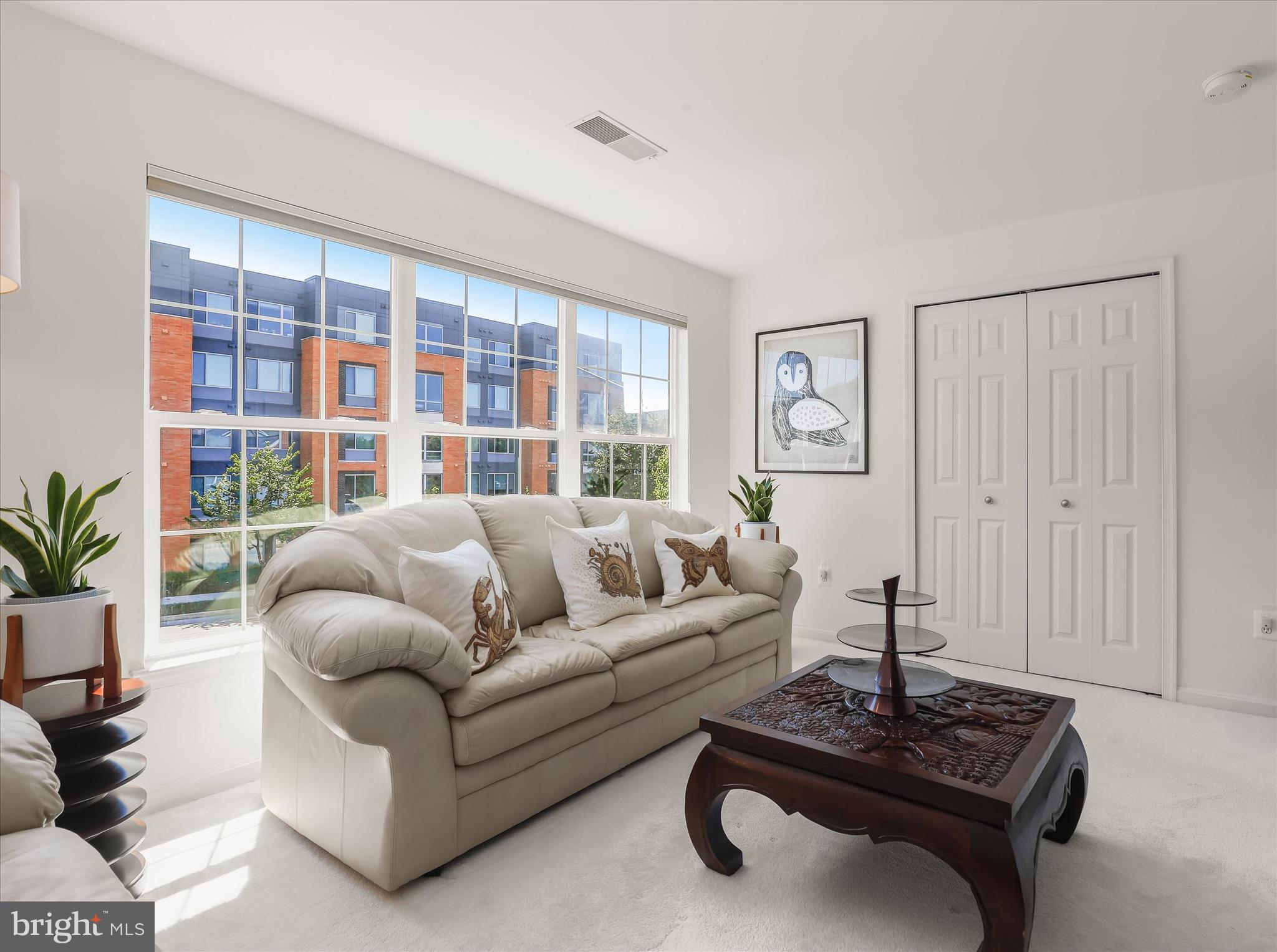THE WHITNEY TOWN CENTER - Residential