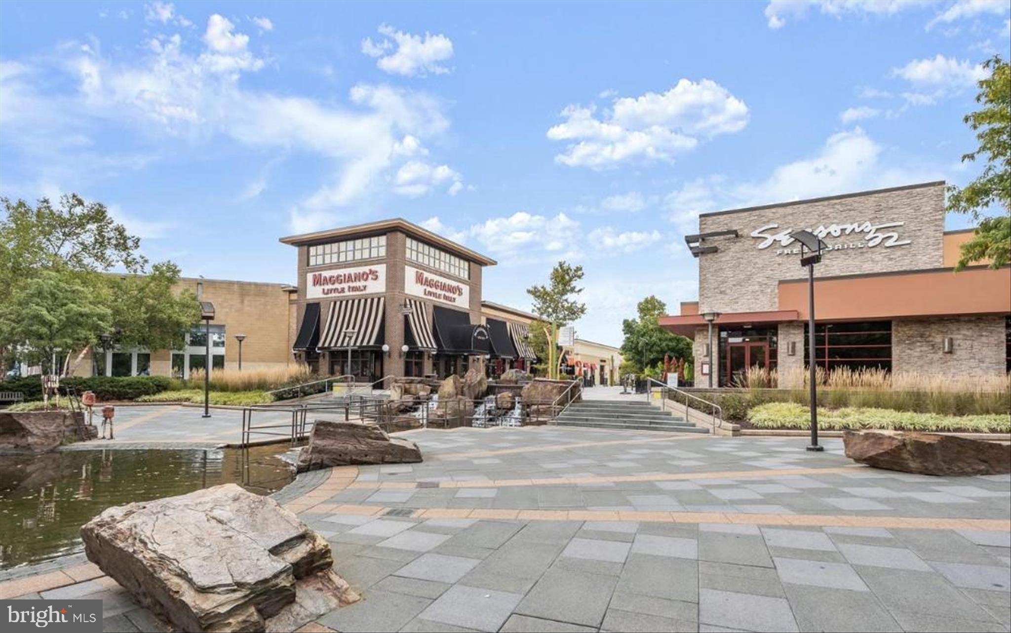 THE WHITNEY TOWN CENTER - Residential