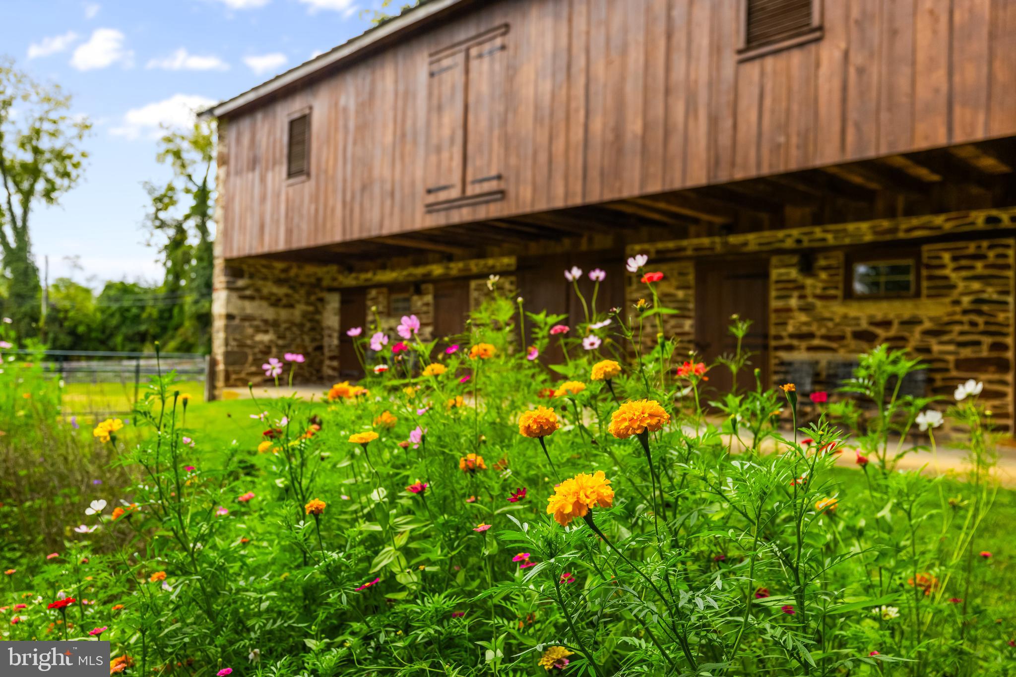 WESTERN RUN - Farm