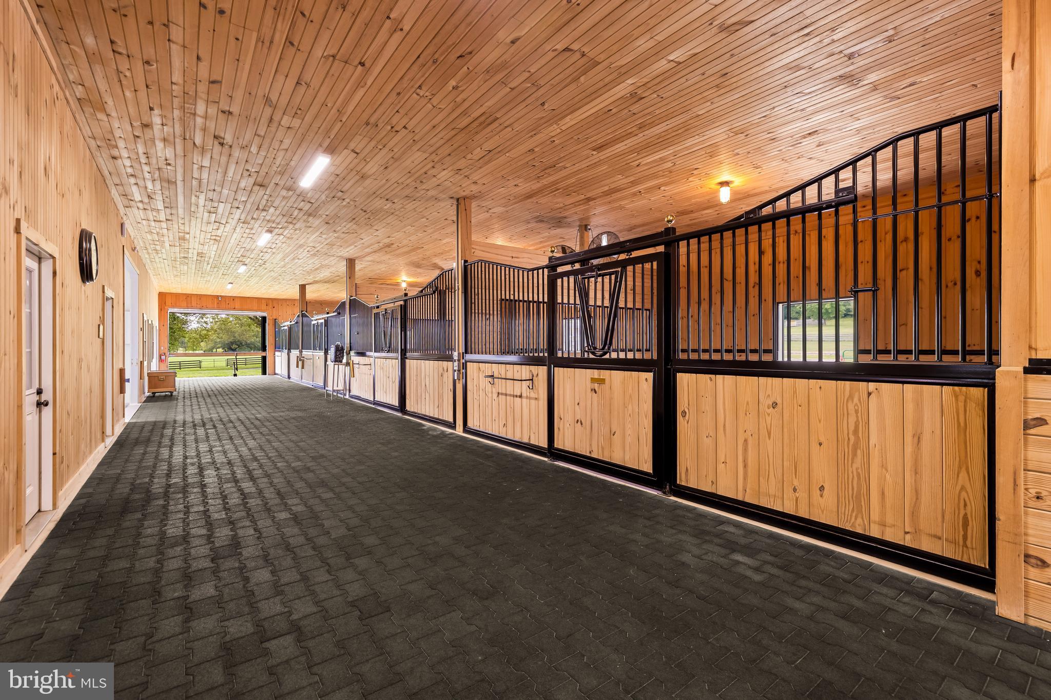 WESTERN RUN - Farm