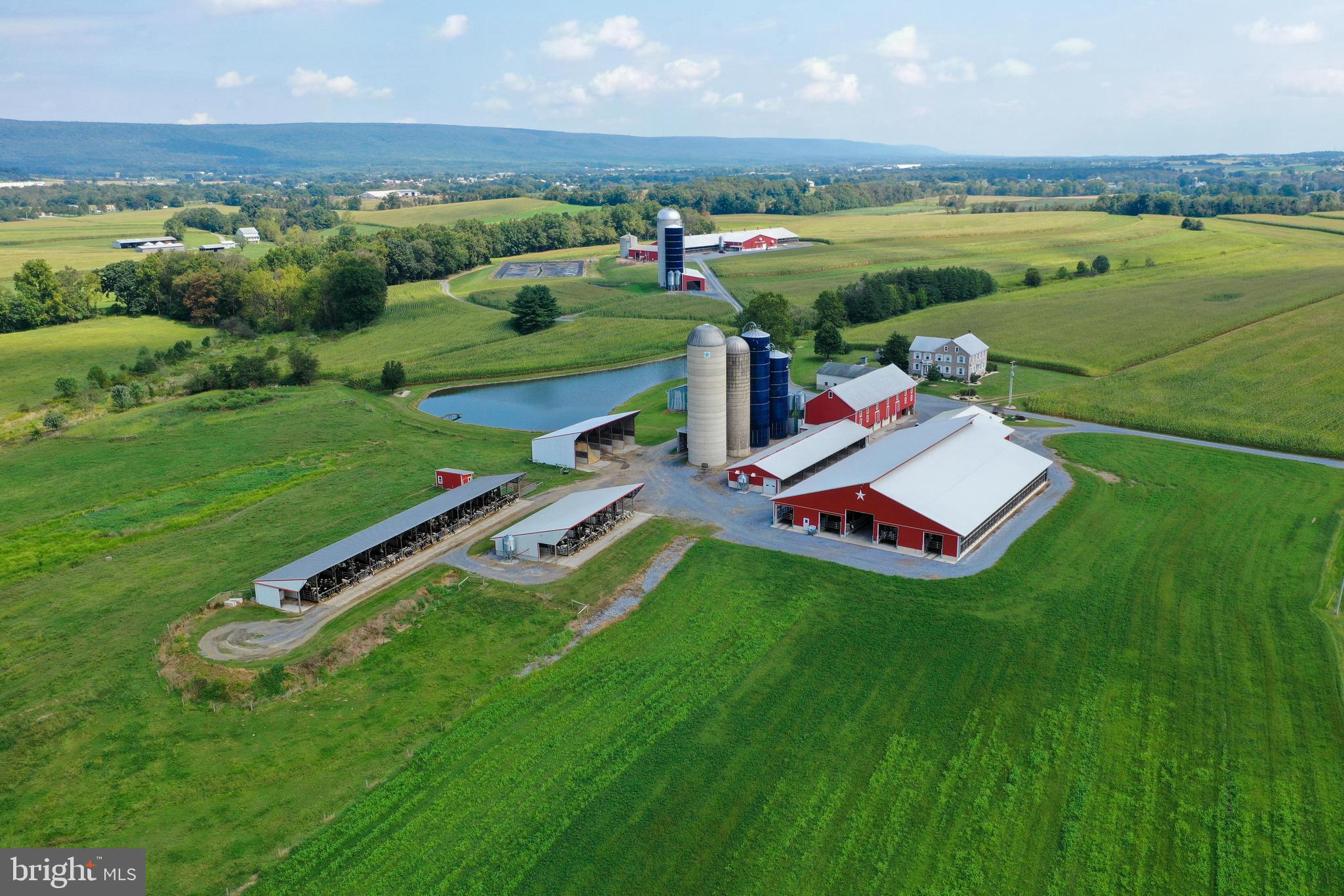 NONE AVAILABLE - Farm