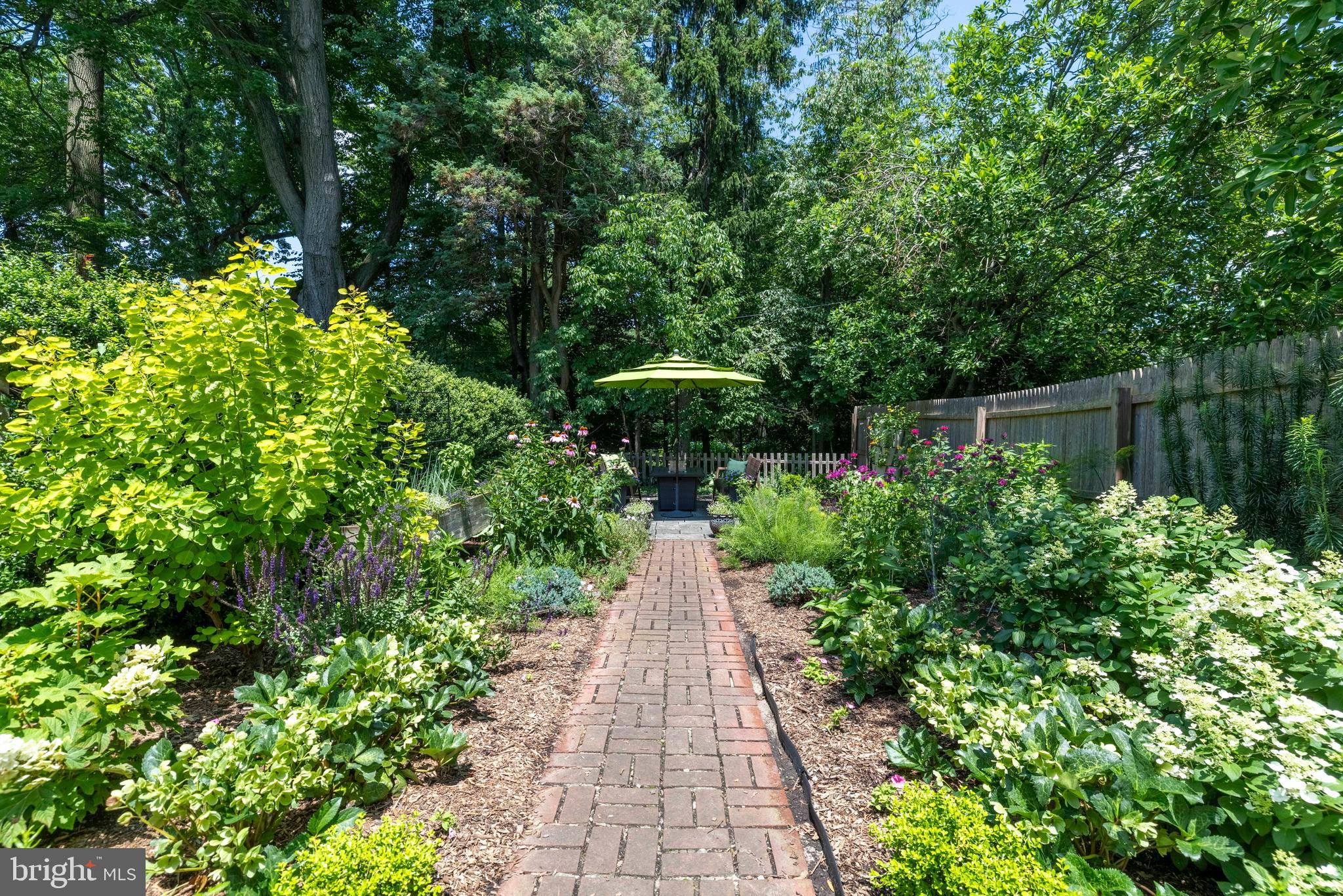 CHESTNUT HILL - Residential
