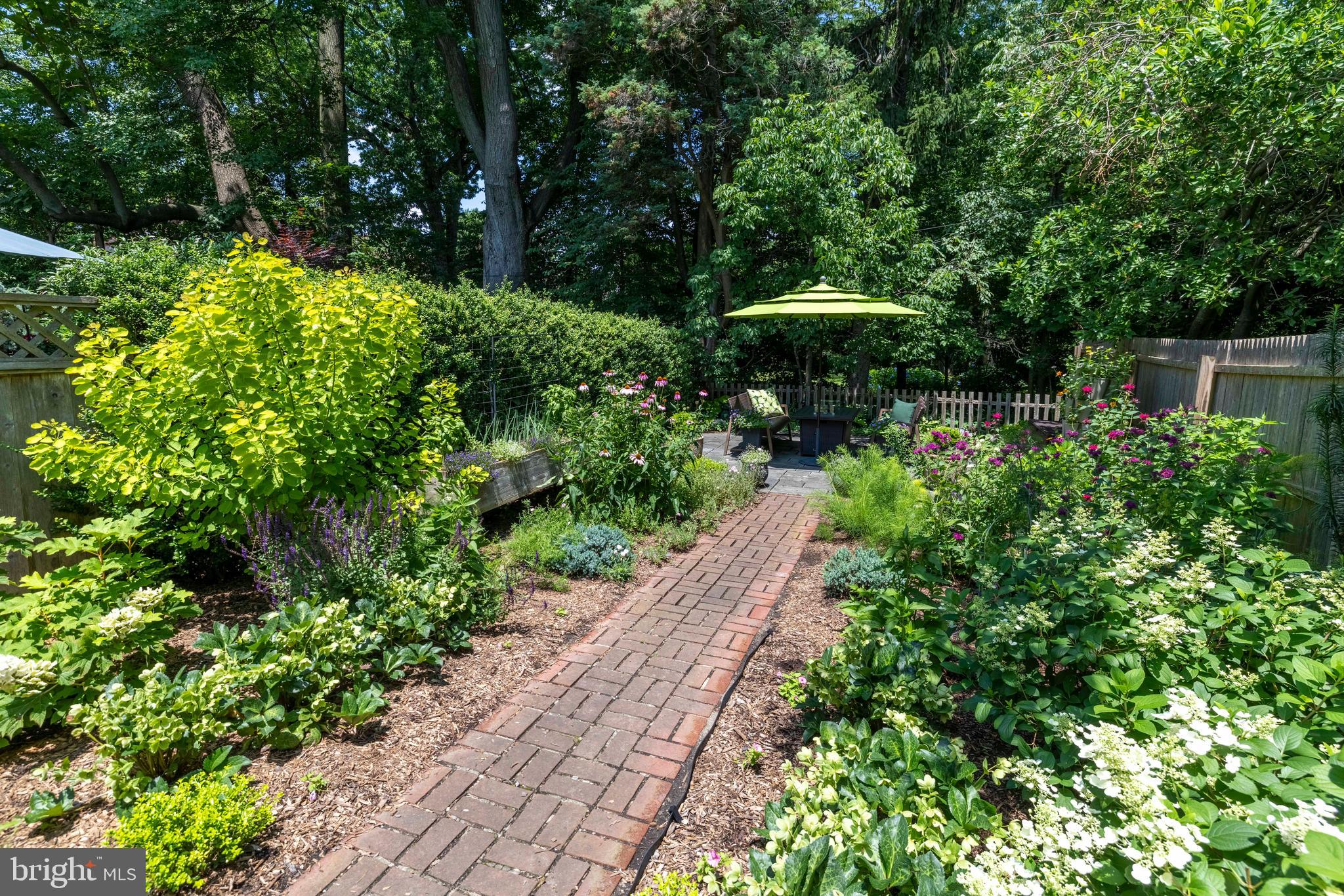 CHESTNUT HILL - Residential