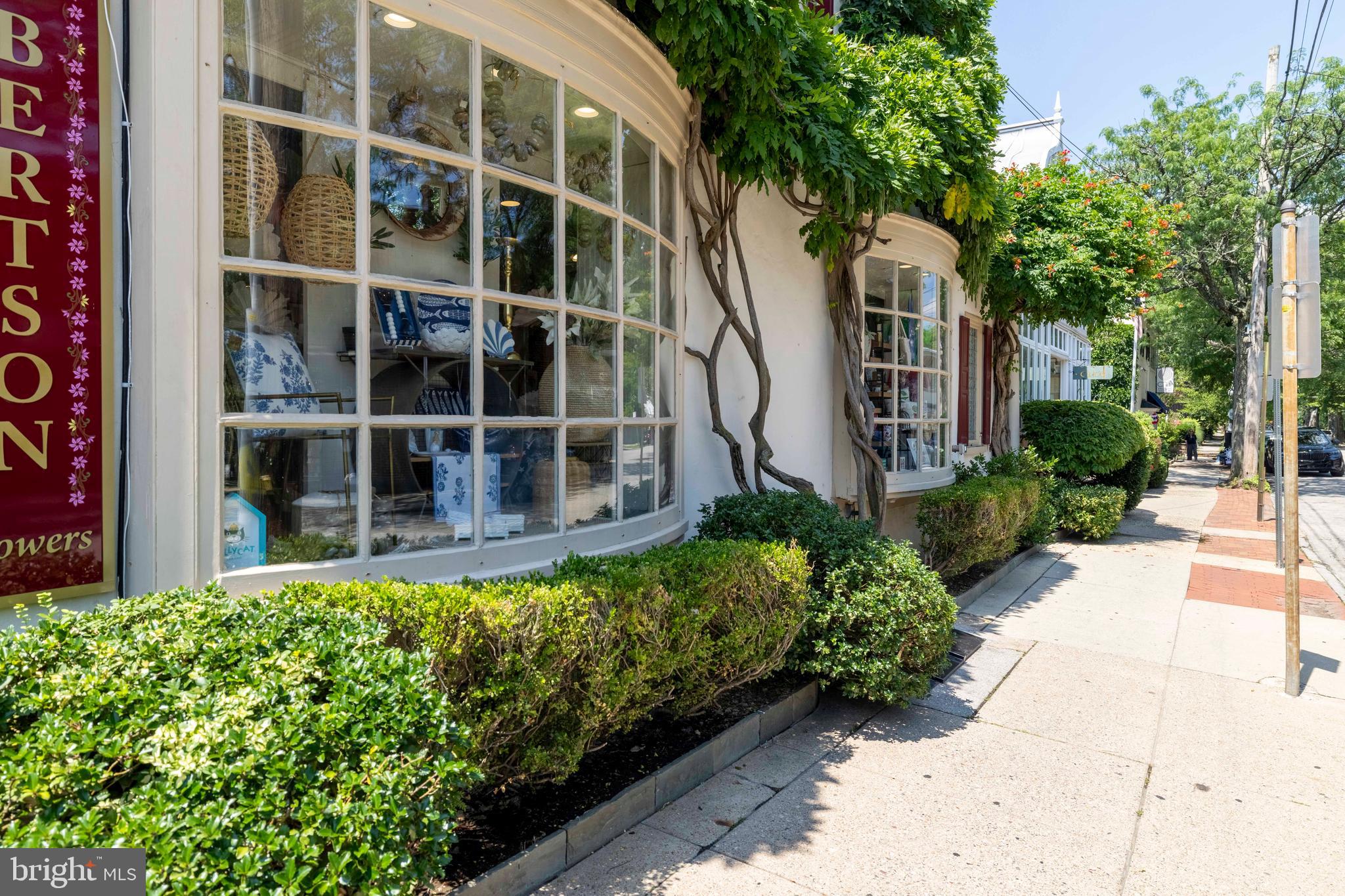 CHESTNUT HILL - Residential
