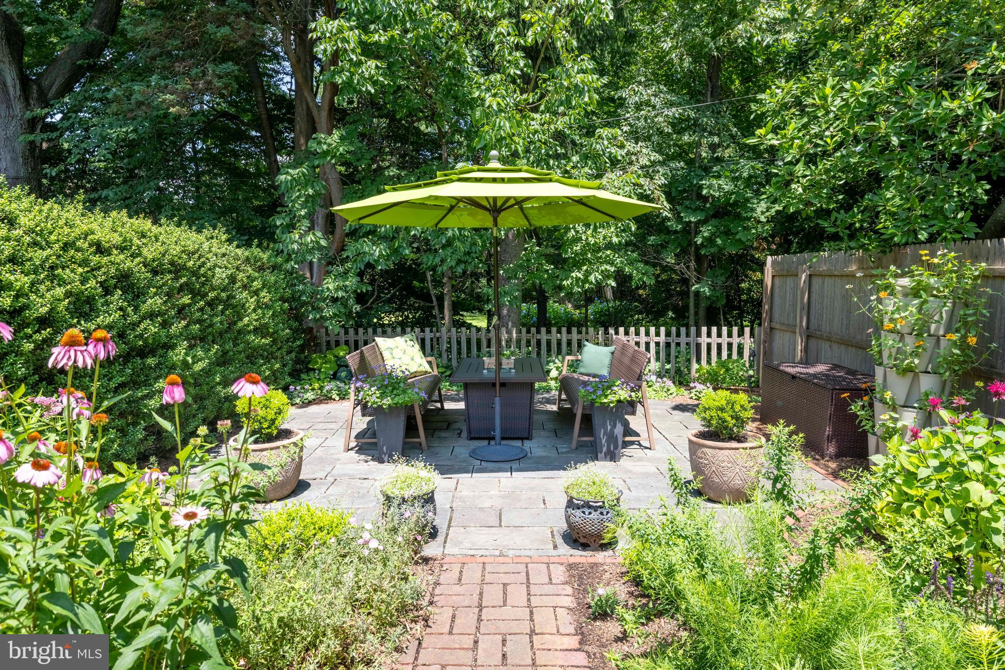 CHESTNUT HILL - Residential