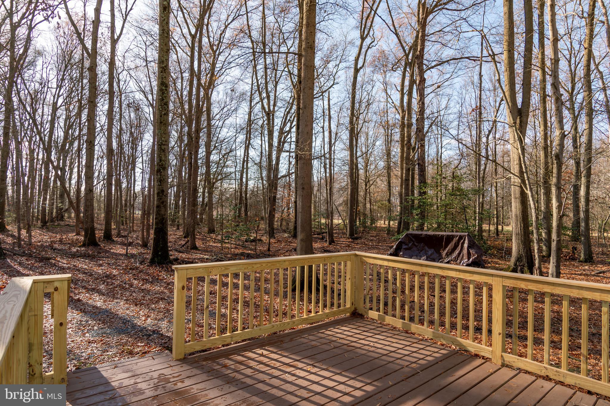 CHESAPEAKE LANDING - Residential