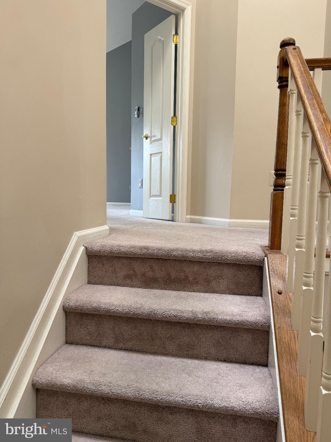 CAMBRIDGE WALK - Residential