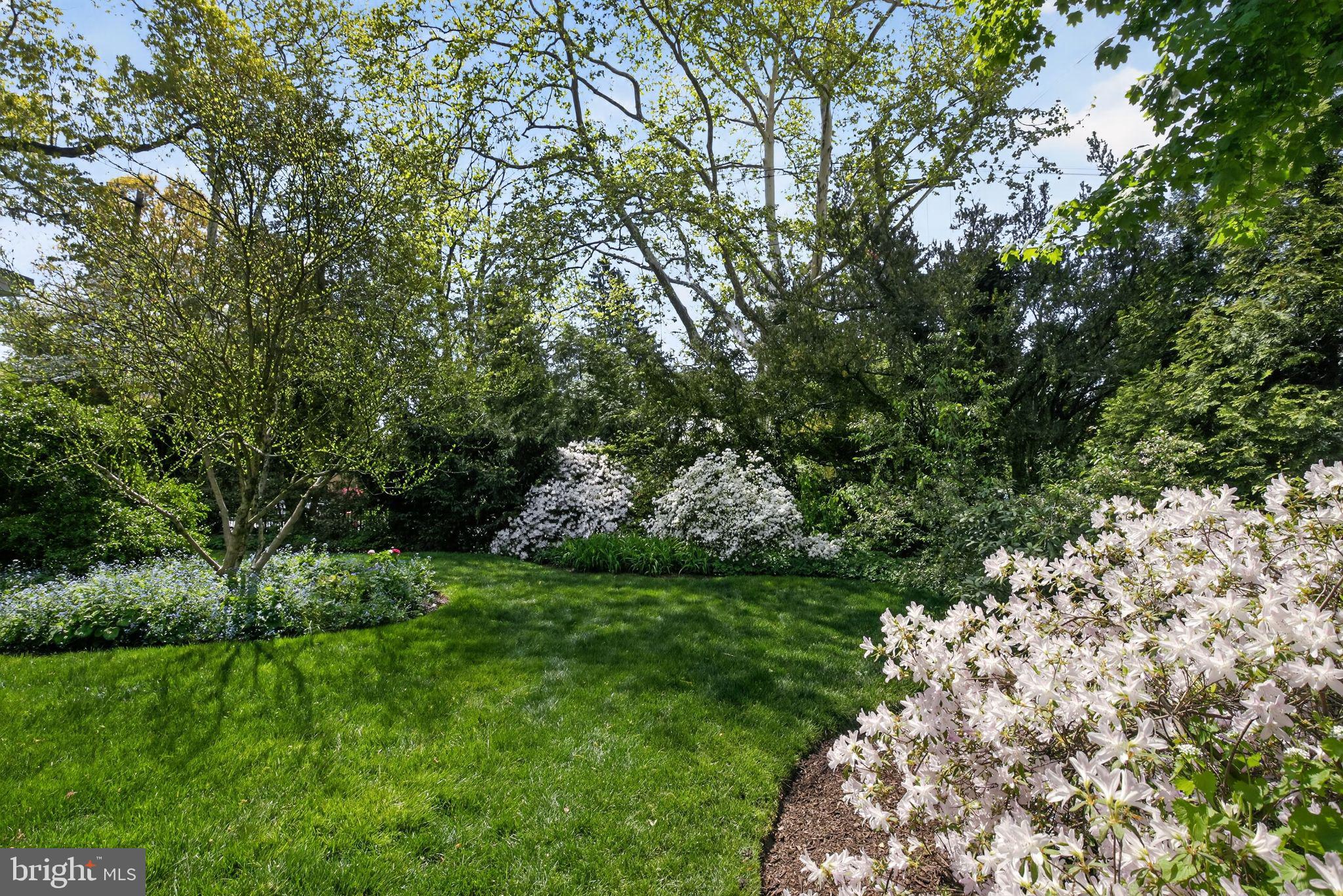 MT AIRY (WEST) - Residential