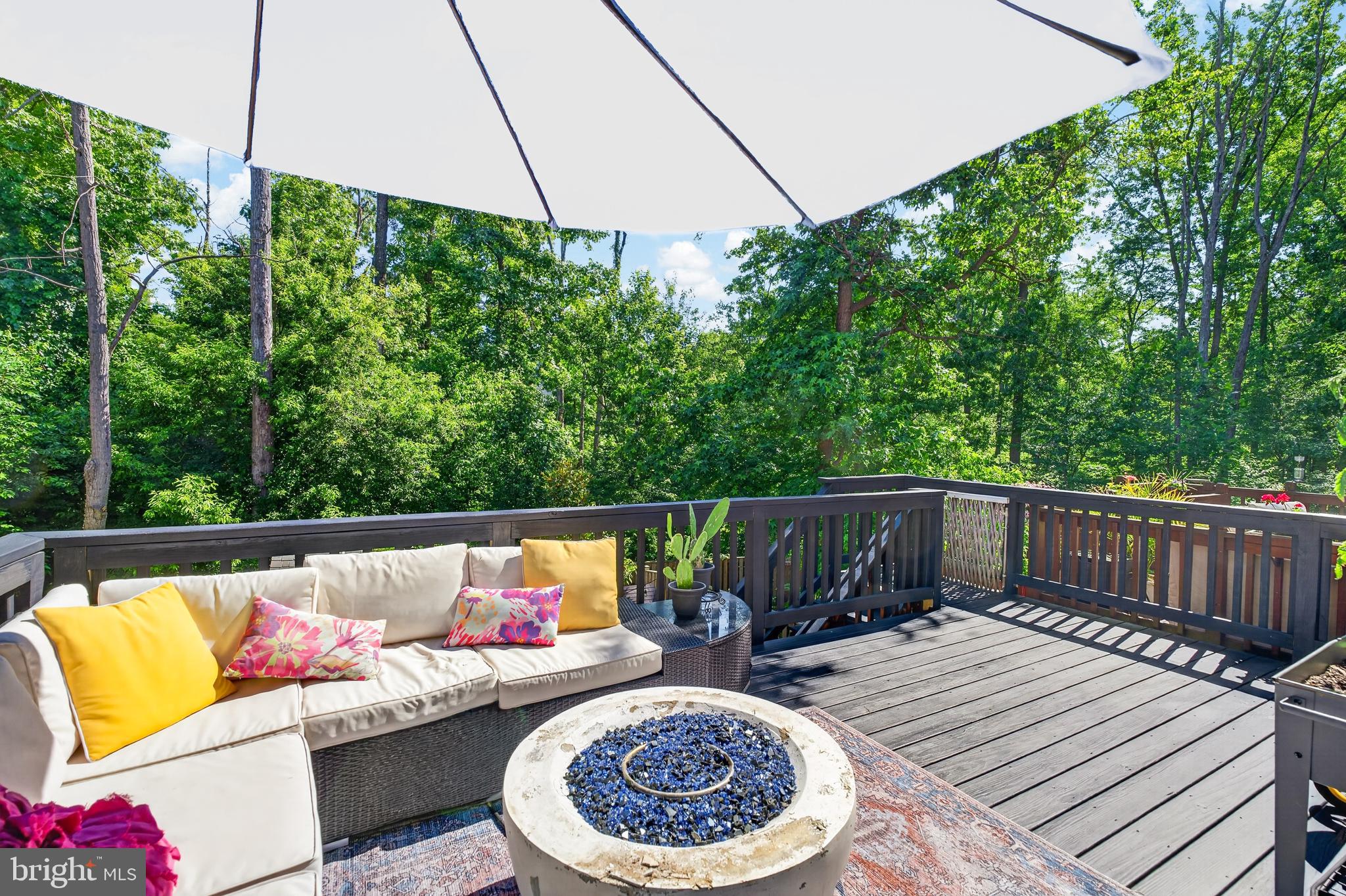 CHESTNUT HILL COVE - Residential