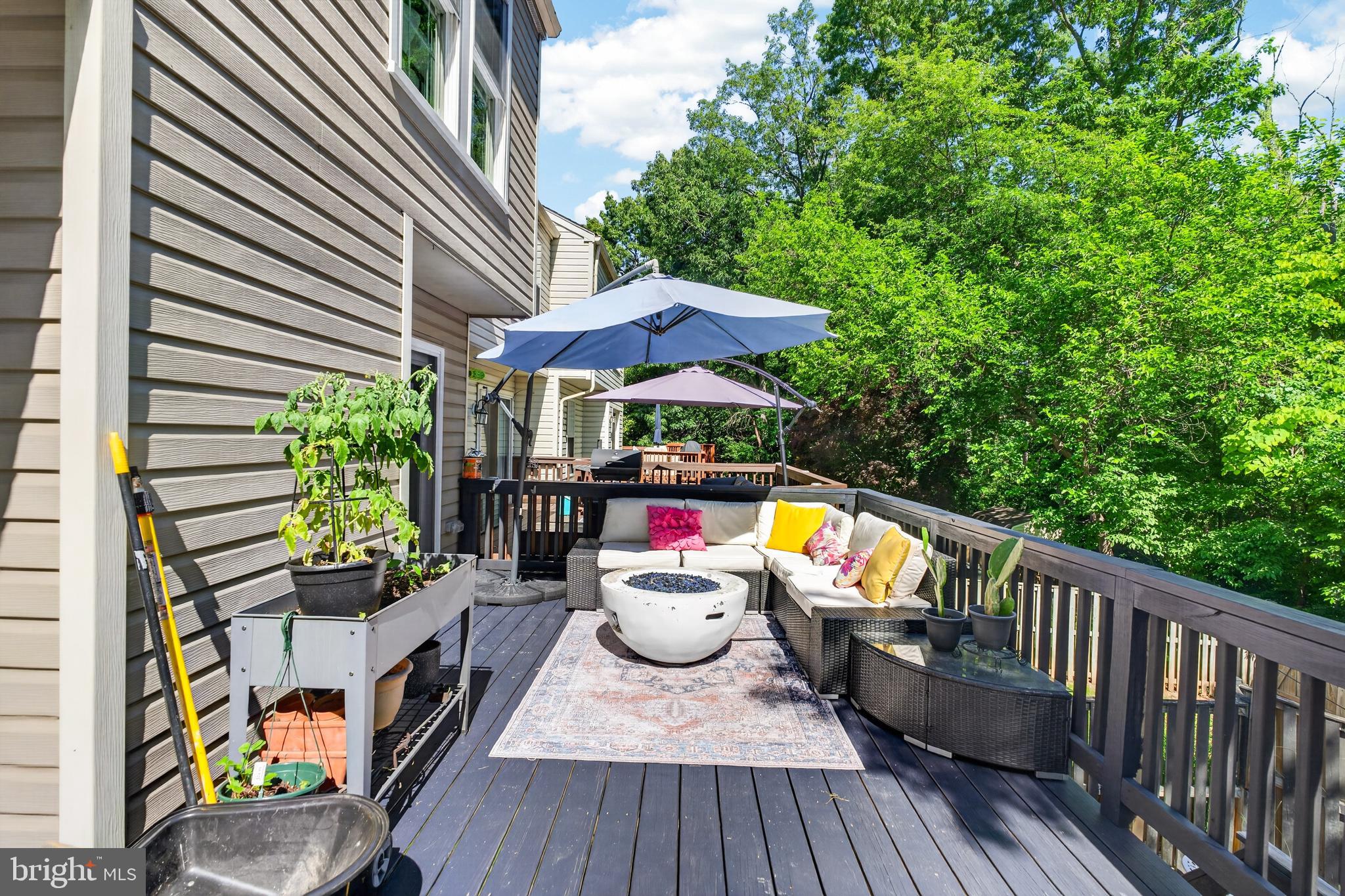 CHESTNUT HILL COVE - Residential