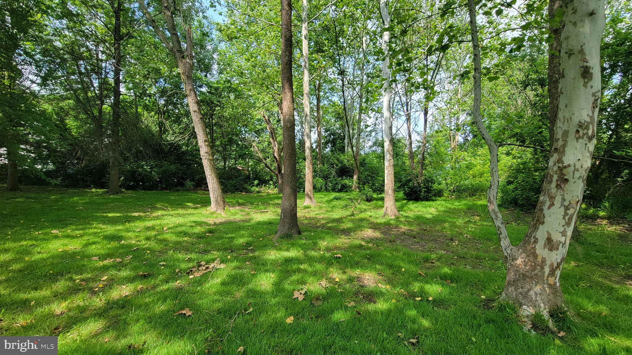 BREWER HEIGHTS - Residential