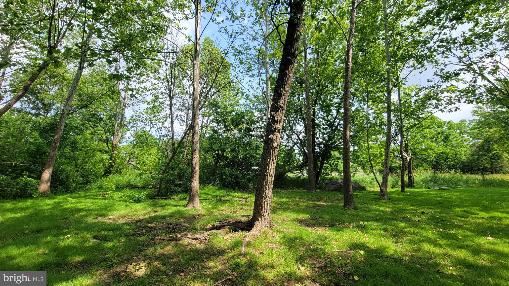 BREWER HEIGHTS - Residential