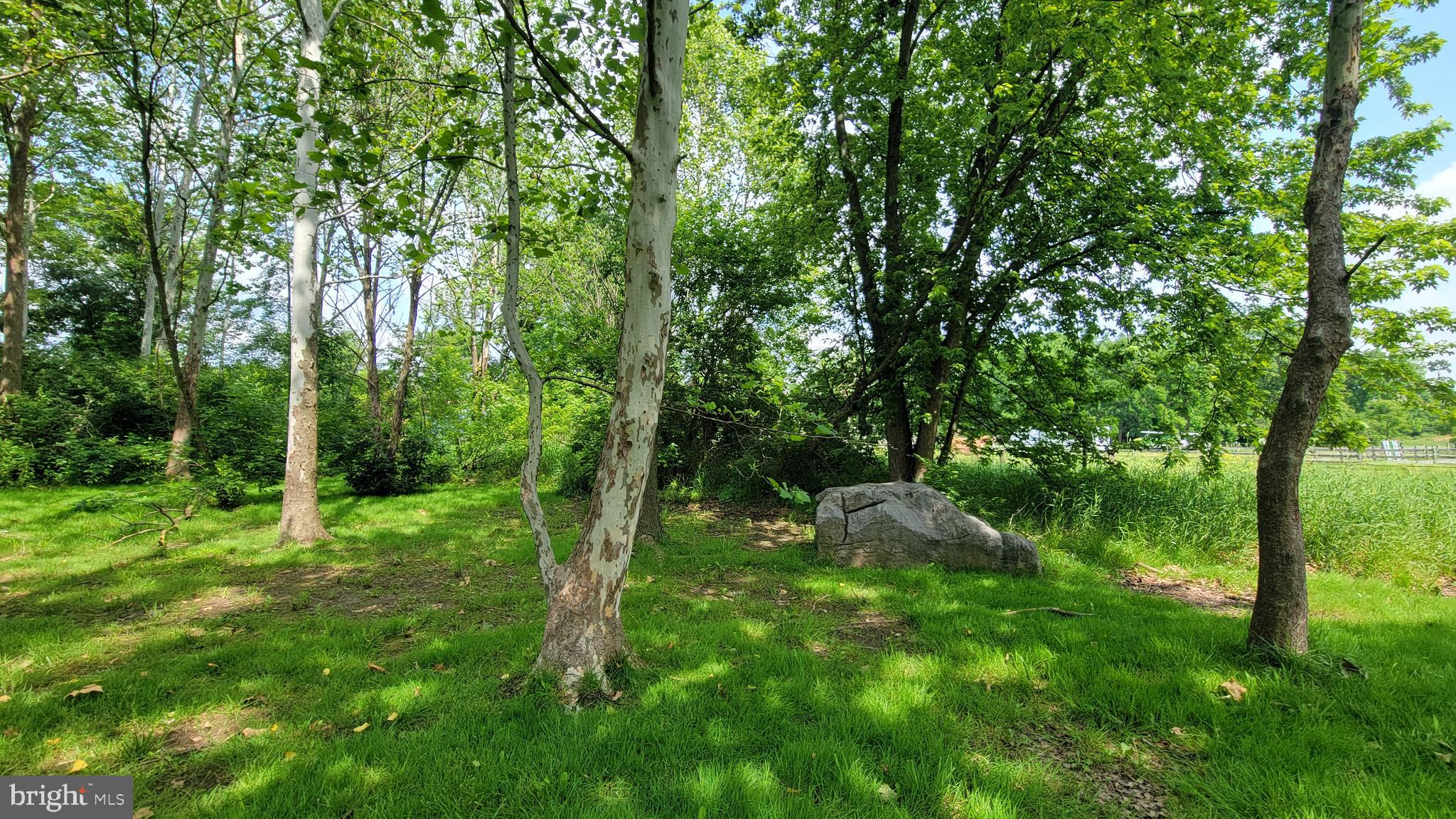 BREWER HEIGHTS - Residential