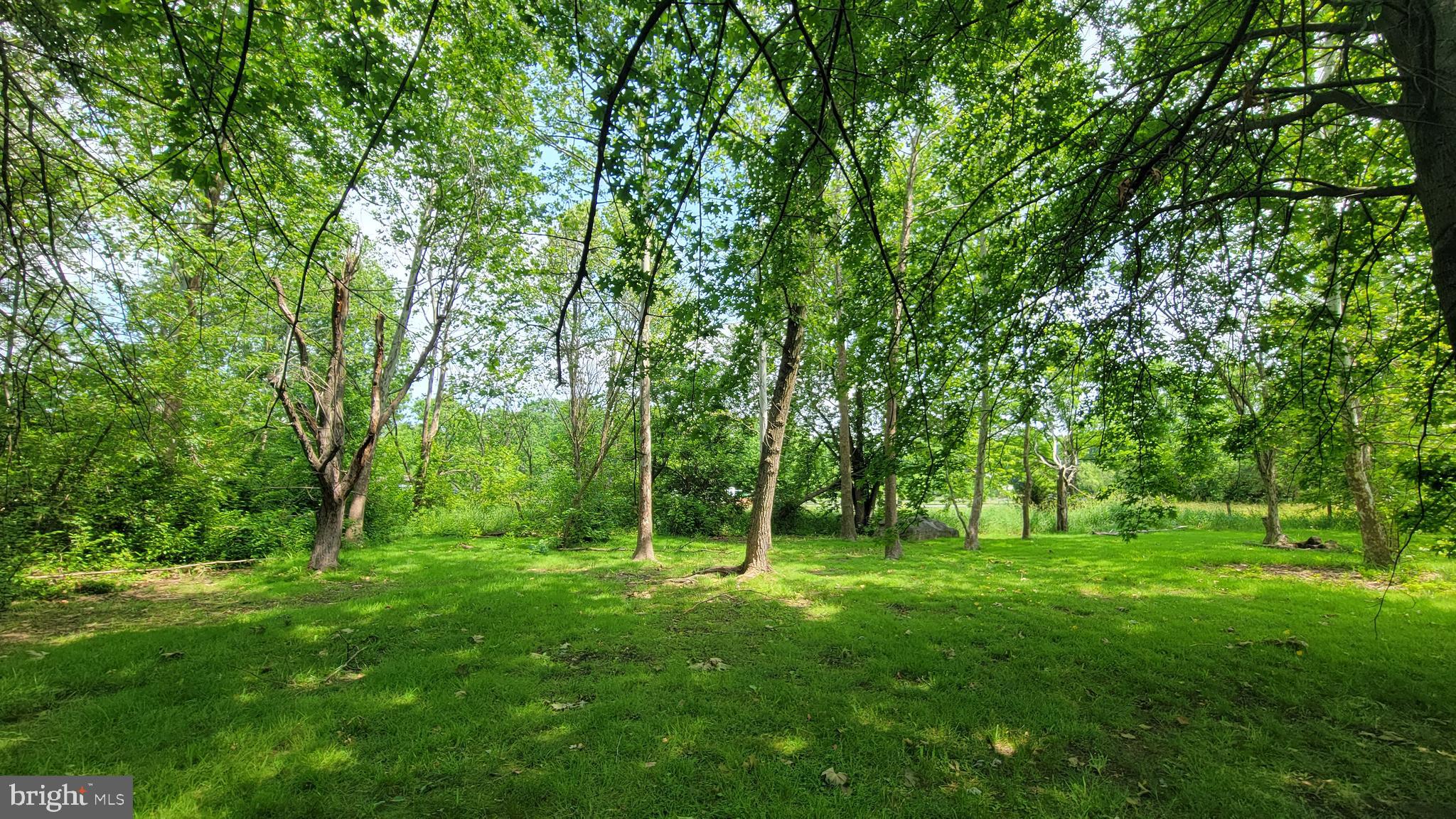 BREWER HEIGHTS - Residential