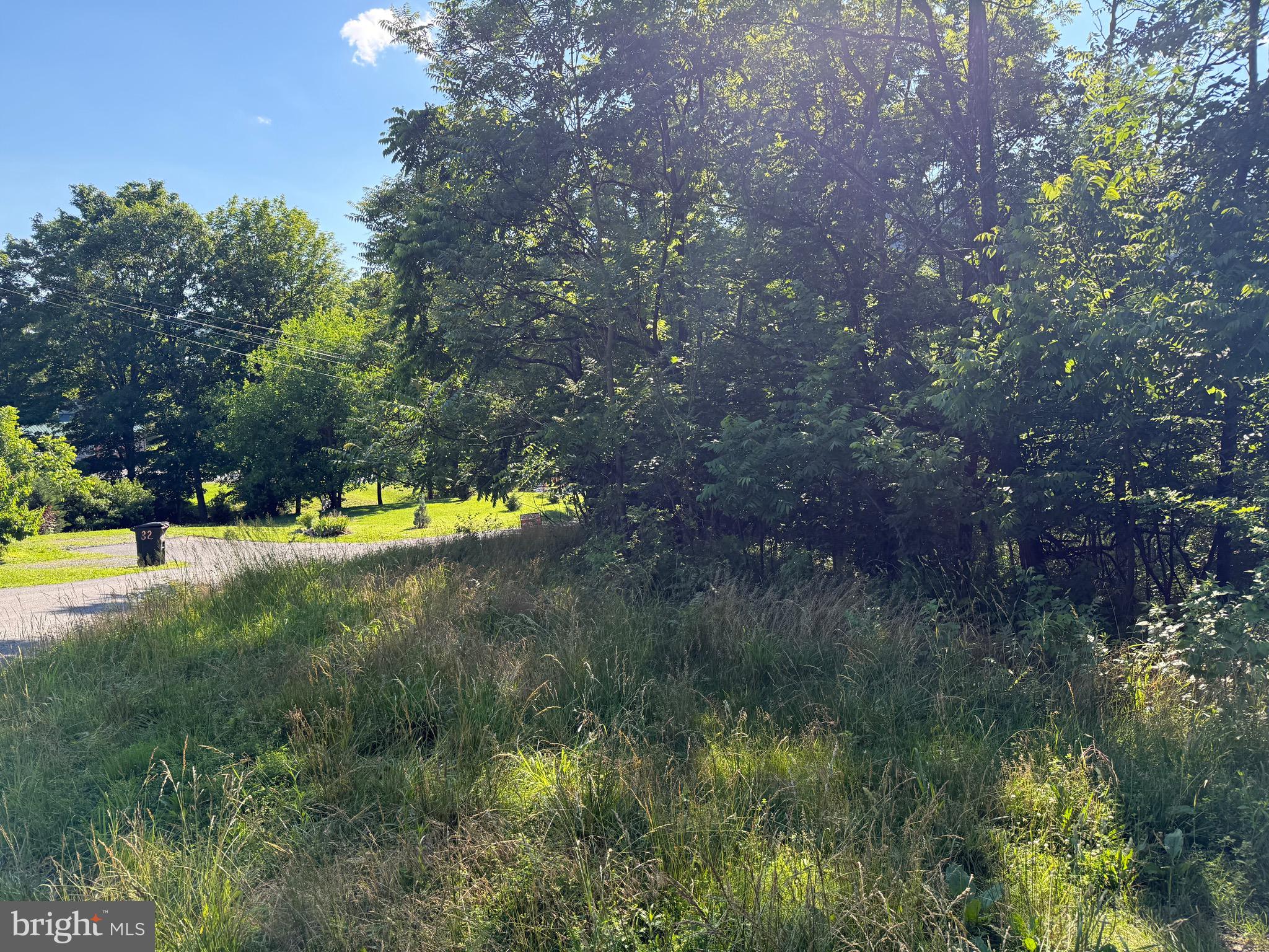 .64 Unrestricted Acre!    Build your home here of bring your camper to enjoy long weekends.  Located a short distance to downtown Berkeley Springs where you can enjoy all the shops, spas and Berkeley Springs State Park.  OR explore the possibilities of a parking lot for your companies work trucks or storage of your work equipment.