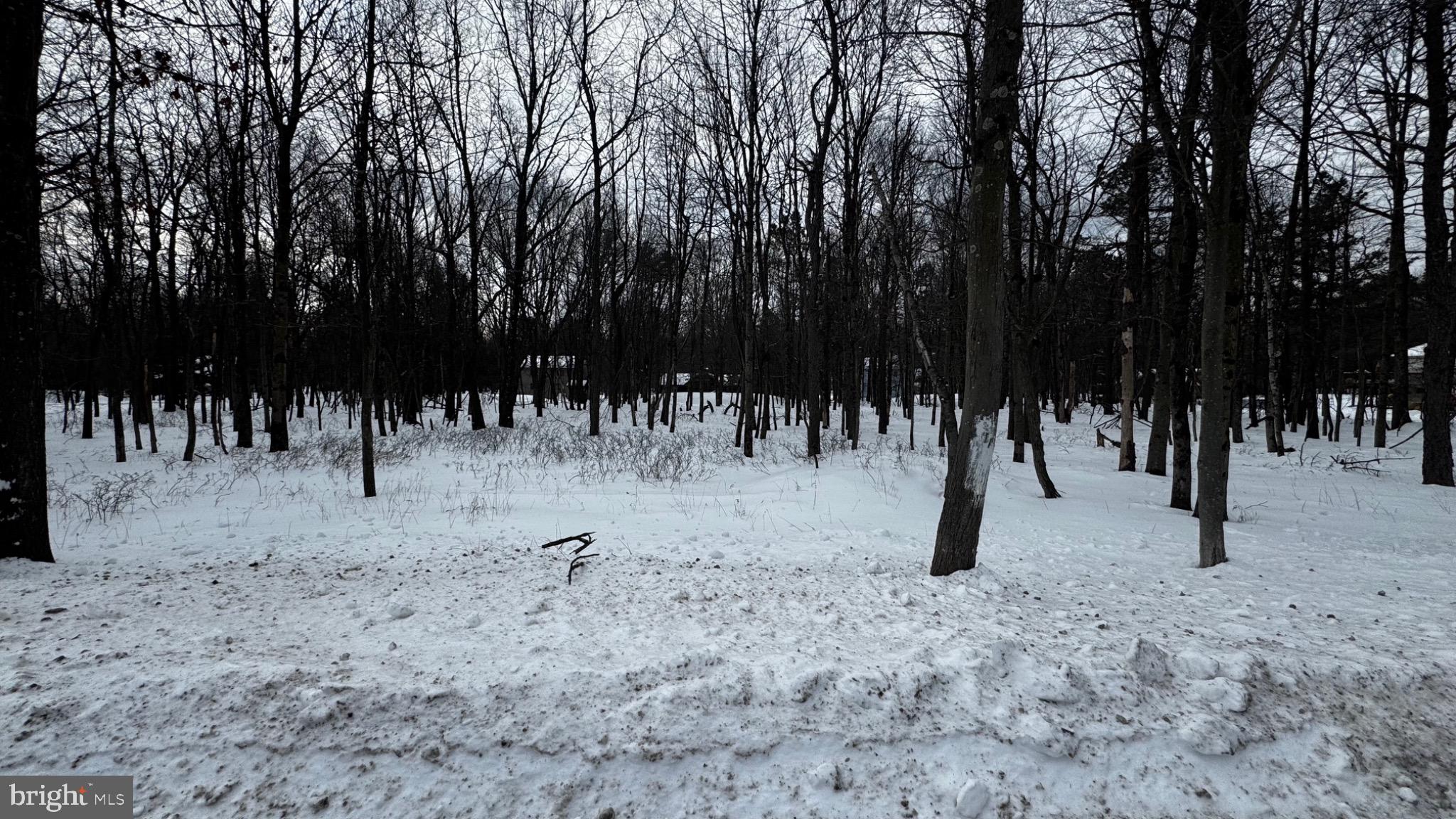 TOWAMESING TRAILS - Land