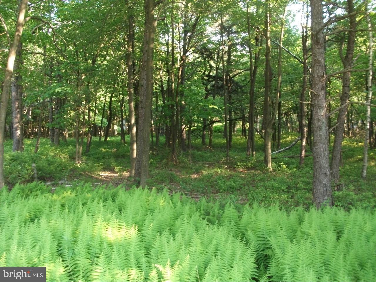 TOWAMESING TRAILS - Land