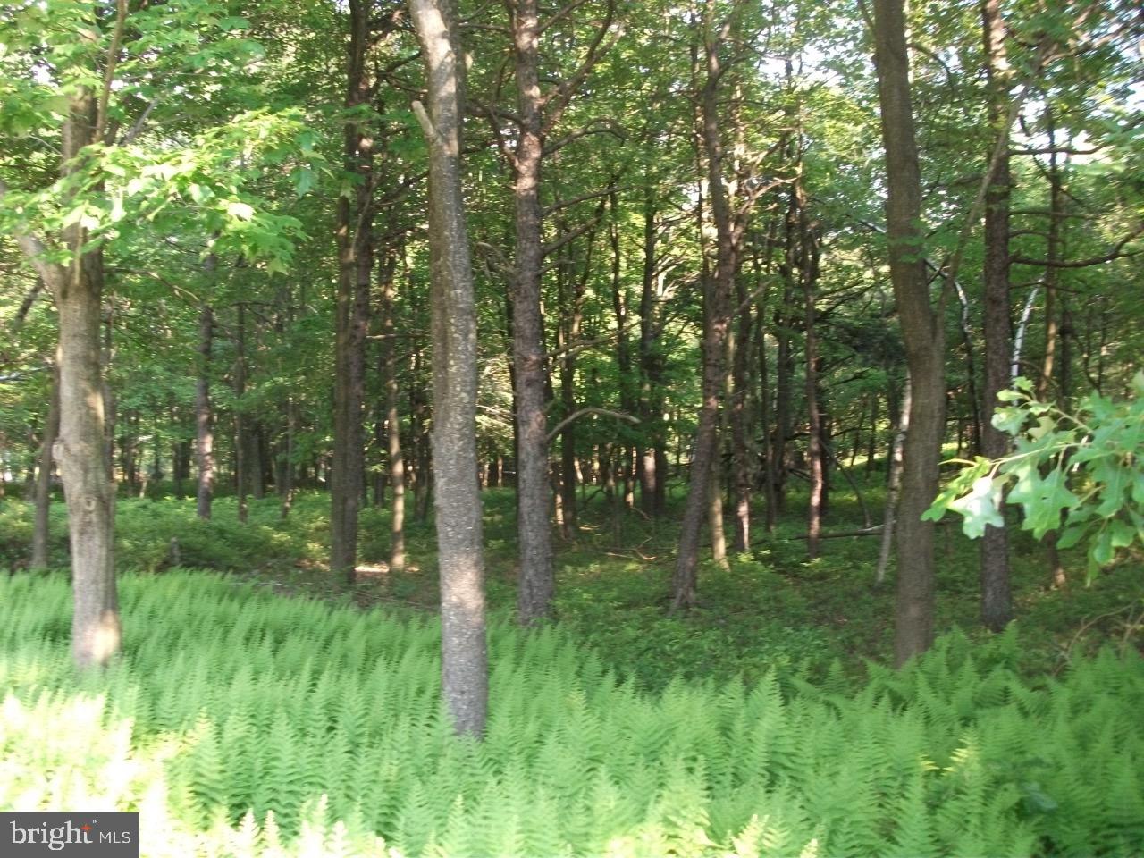 TOWAMESING TRAILS - Land