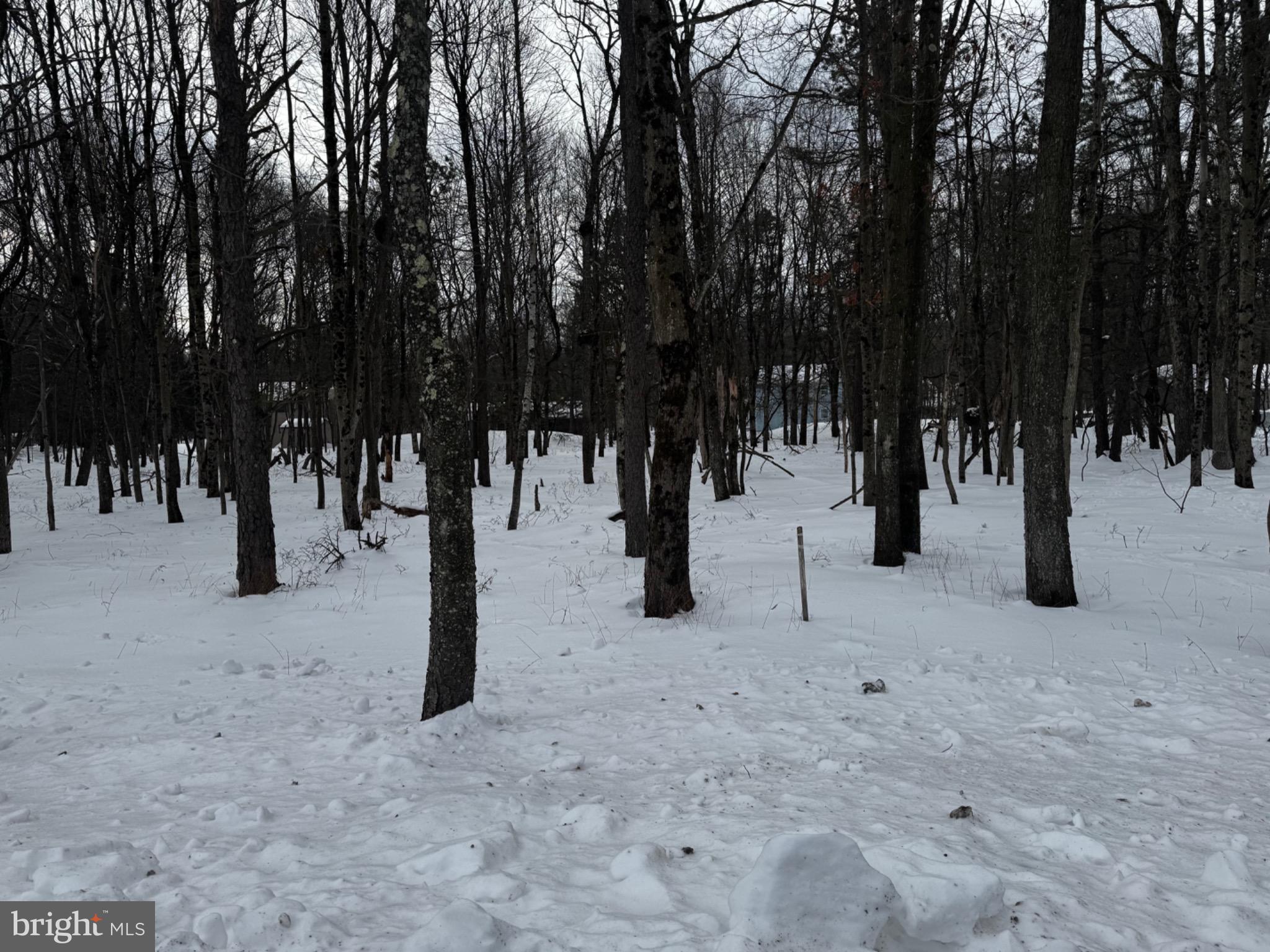 TOWAMESING TRAILS - Land