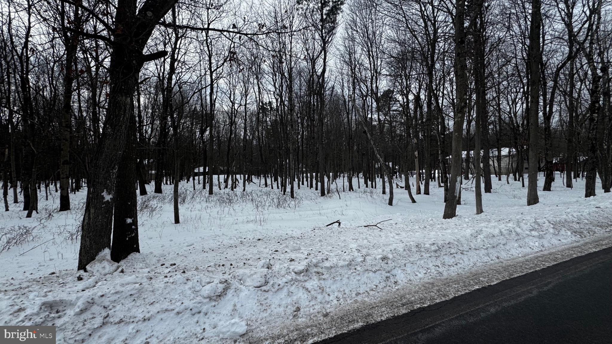 TOWAMESING TRAILS - Land