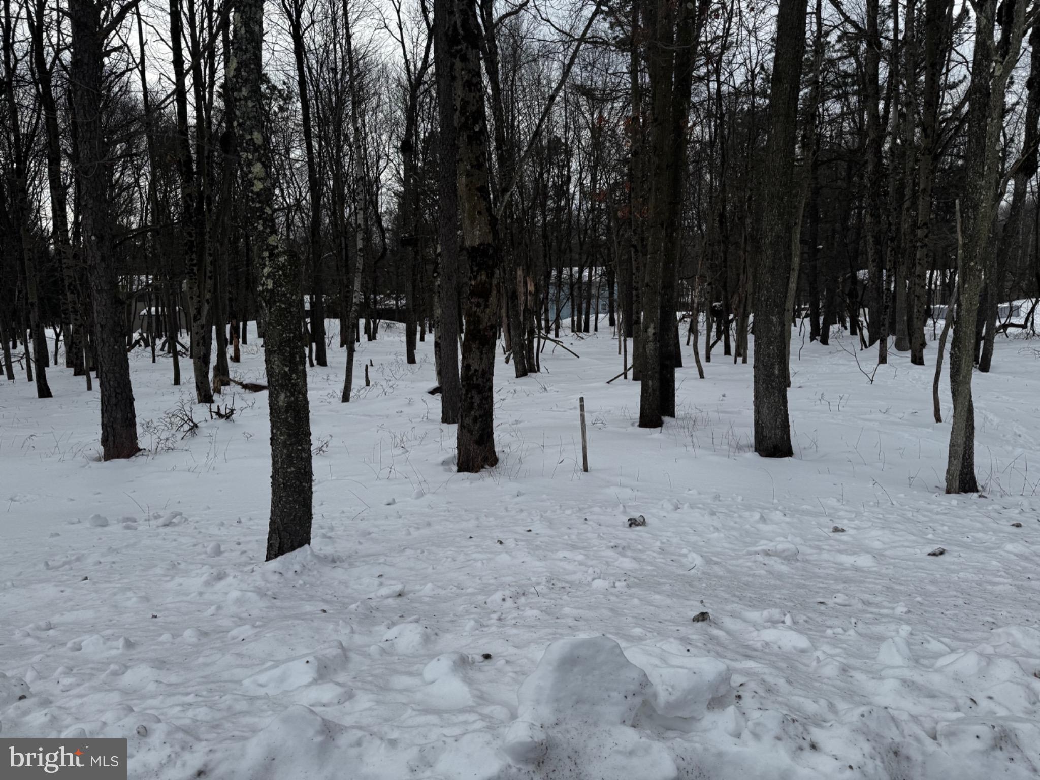 TOWAMESING TRAILS - Land