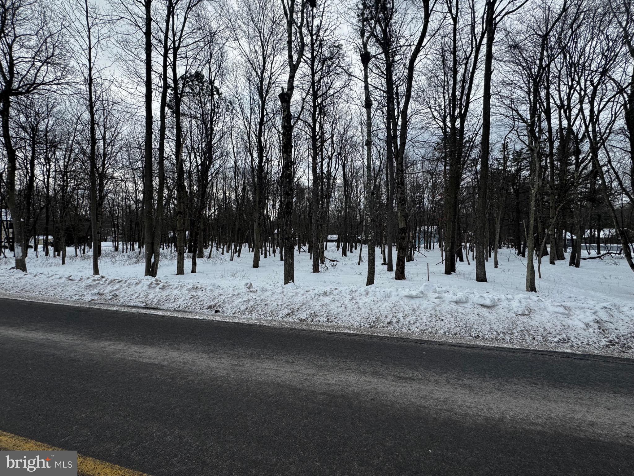 TOWAMESING TRAILS - Land