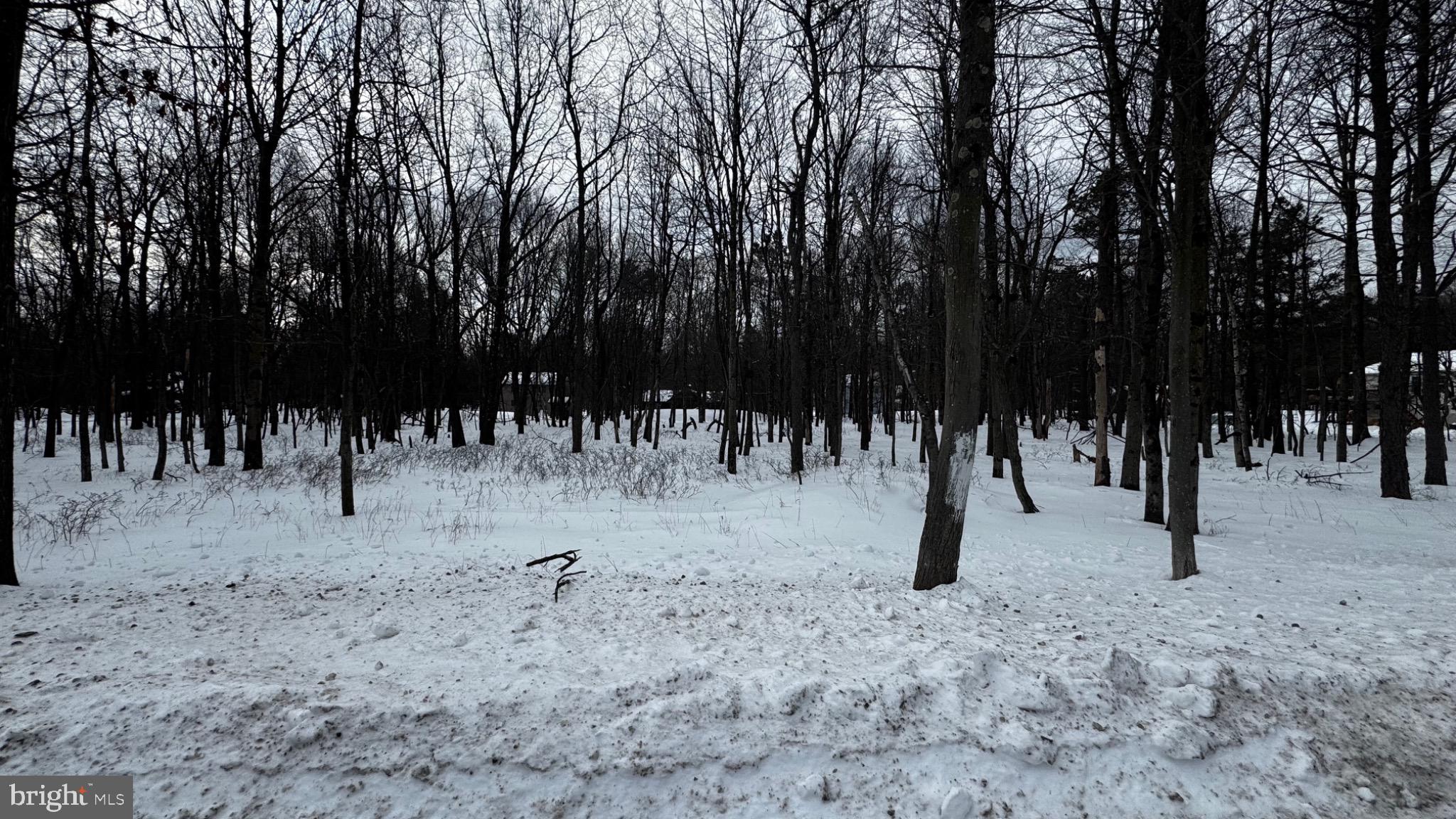TOWAMESING TRAILS - Land
