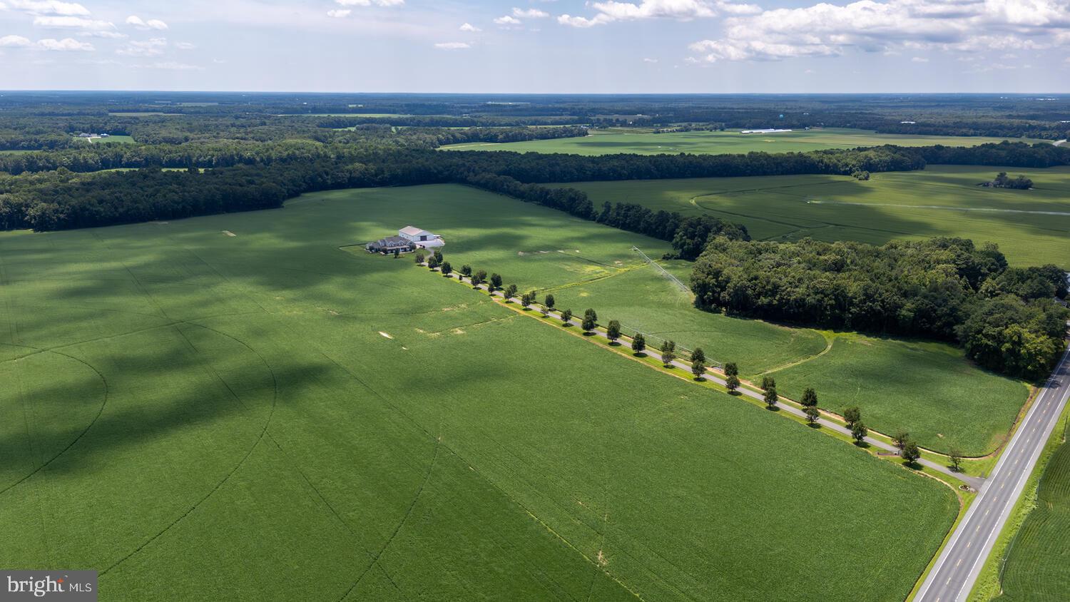 FEDERALSBURG - Farm