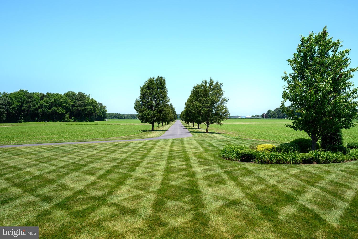 FEDERALSBURG - Farm