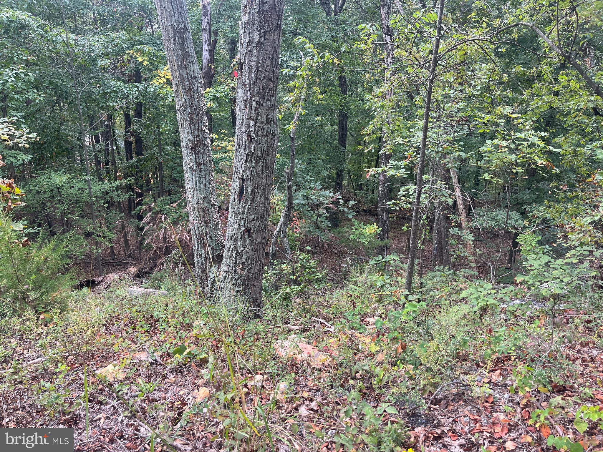 BATTLE CREEK FOREST - Land