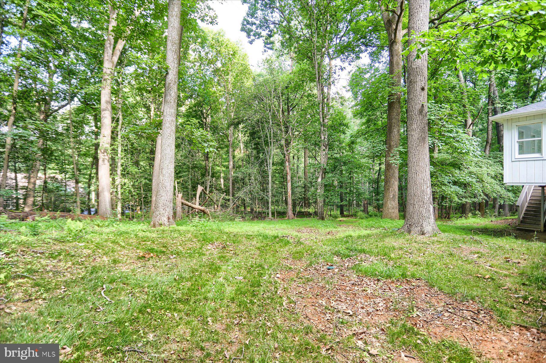 CAVES VALLEY - Residential