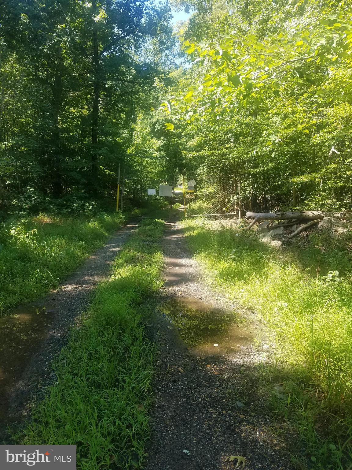 PRICE REDUCED! An extraordinary, high value opportunity awaits the visionary buyer at 7285 Billingsley Road. This sprawling 21.3-acre tract of land in Bryans Road, Maryland is more than a parcel of ground it’s a vast, untouched canvas designed for those who desire absolute seclusion and natural splendor without sacrificing access and exceptional growth potential.
Imagine owning your own private wilderness where the soundtrack is birdsong and rustling leaves, yet you are strategically located close to the emerging Western Charles County Technology Corridor not far from the Indian Head Naval Surface Warfare Center and the expanding Maryland Airport. Situated just off Indian Head Highway (MD-210), this prime location provides a direct, straight line commute to the Capital Beltway and the entire D.C. Metropolitan area. You truly get the best of both worlds: a completely rural, wooded setting positioned right in the path of regional innovation and convenience.
The property features unique WCD (Watershed Conservation District) zoning, making it the perfect choice for a low density, highly private estate, a magnificent multi-generational family compound, or apply for a variance and bring your commercial business or military contract. Land is forever, don't miss this improved price.