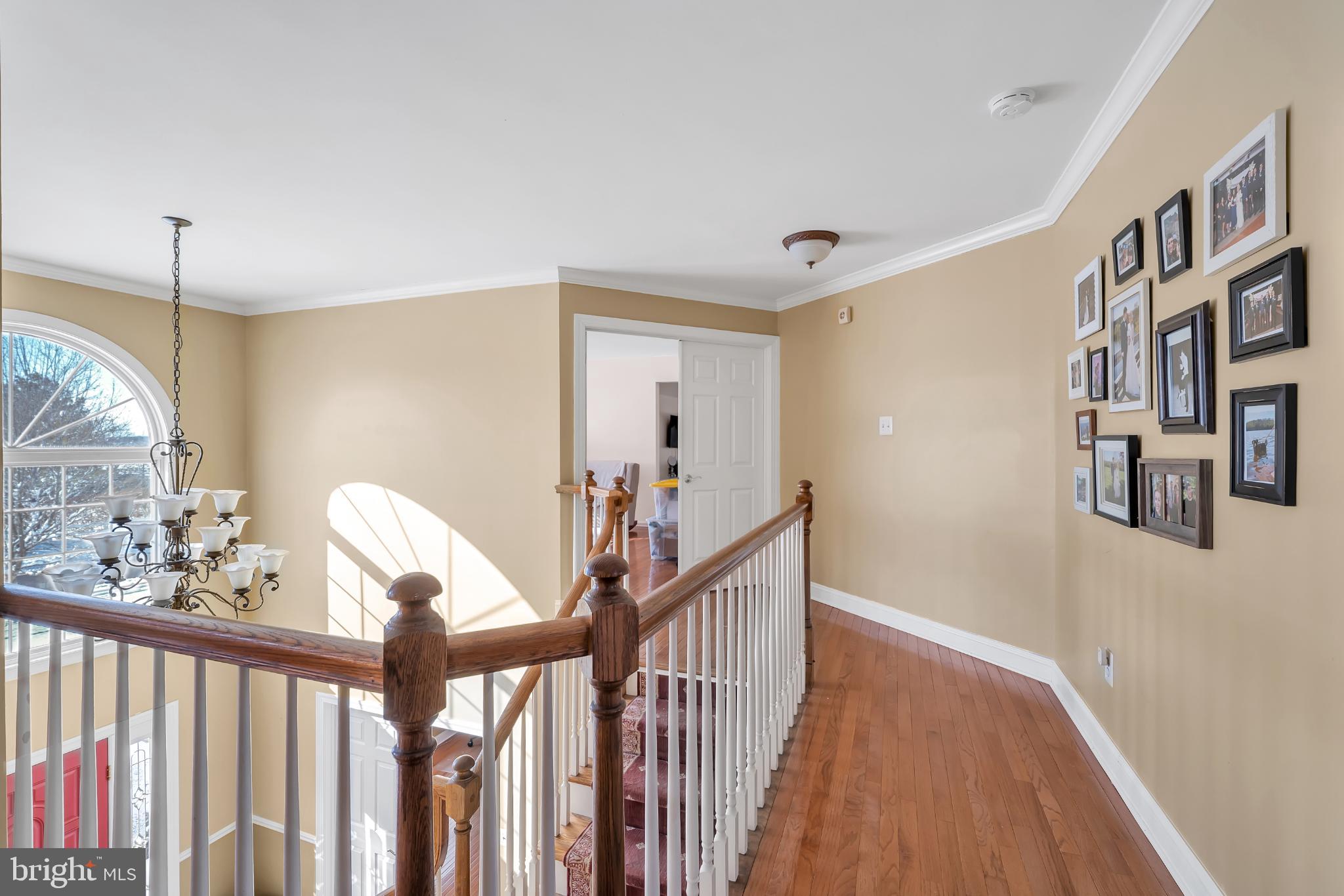 NEWTOWN MEADOWS - Residential