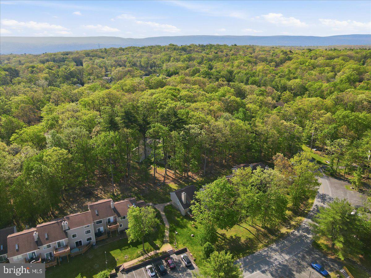 MILL POND (SAW CREEK) - Residential