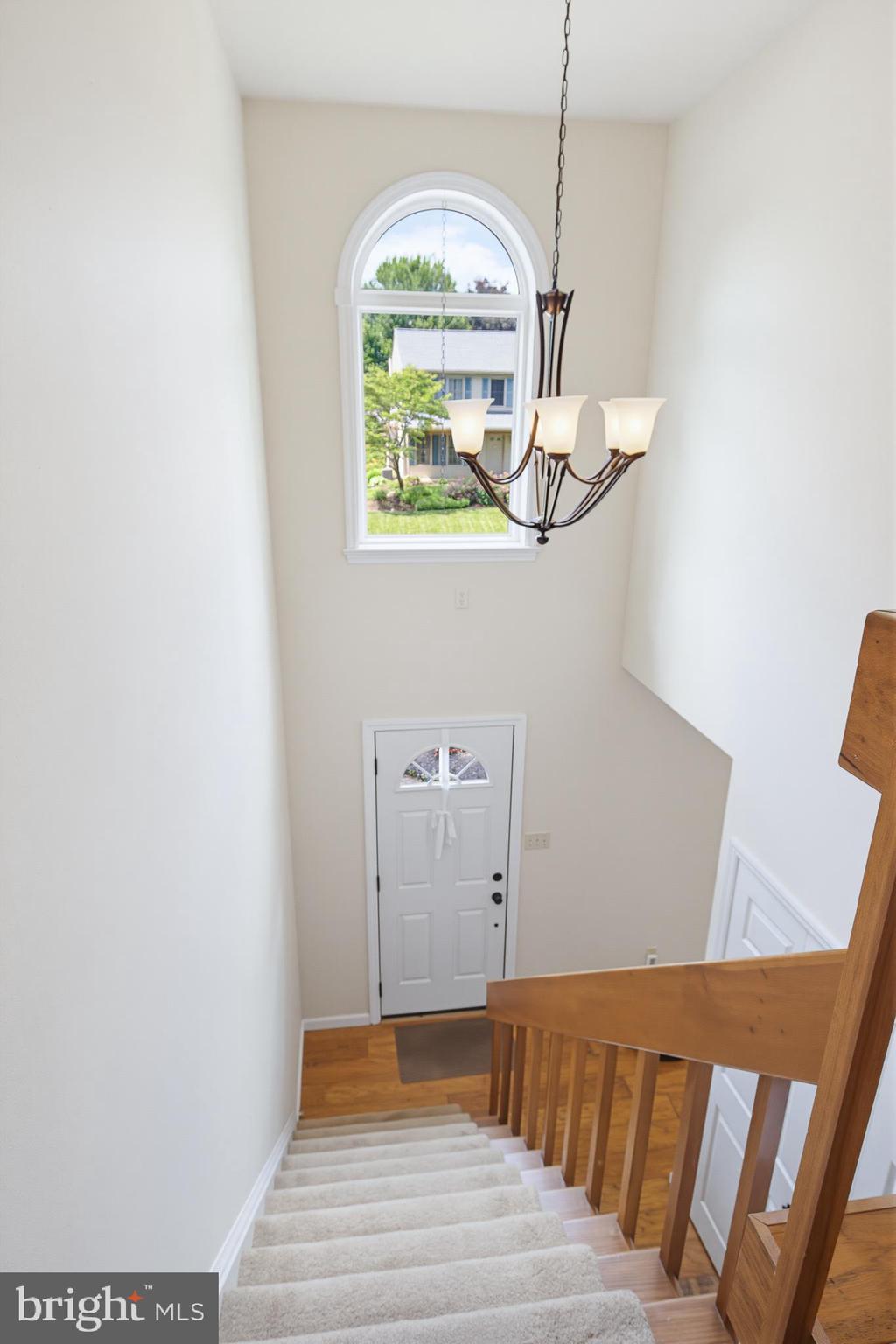 SPRINGFIELD RIDGE - Residential