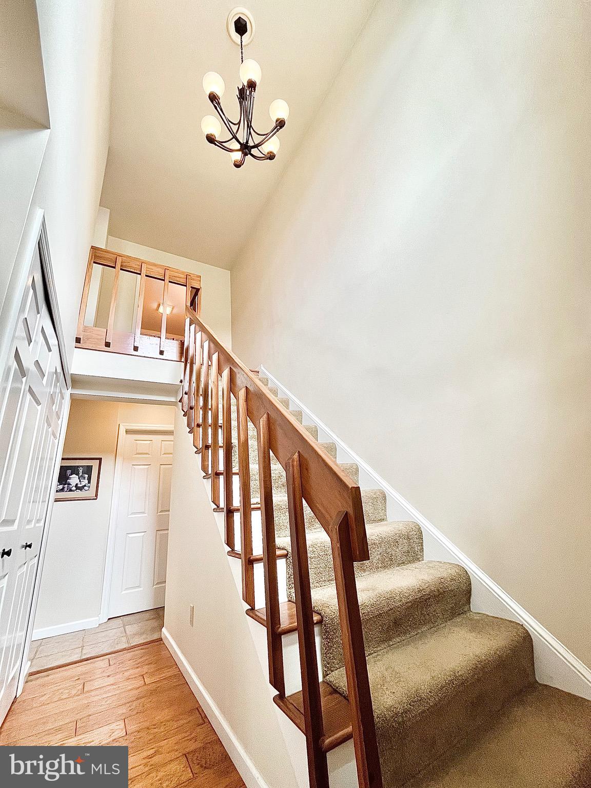 SPRINGFIELD RIDGE - Residential