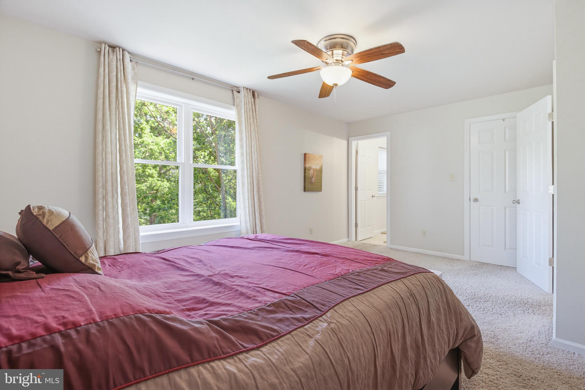 SPRINGFIELD RIDGE - Residential