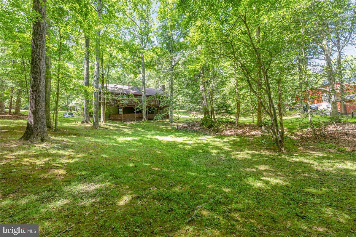 BELL FOREST - Residential
