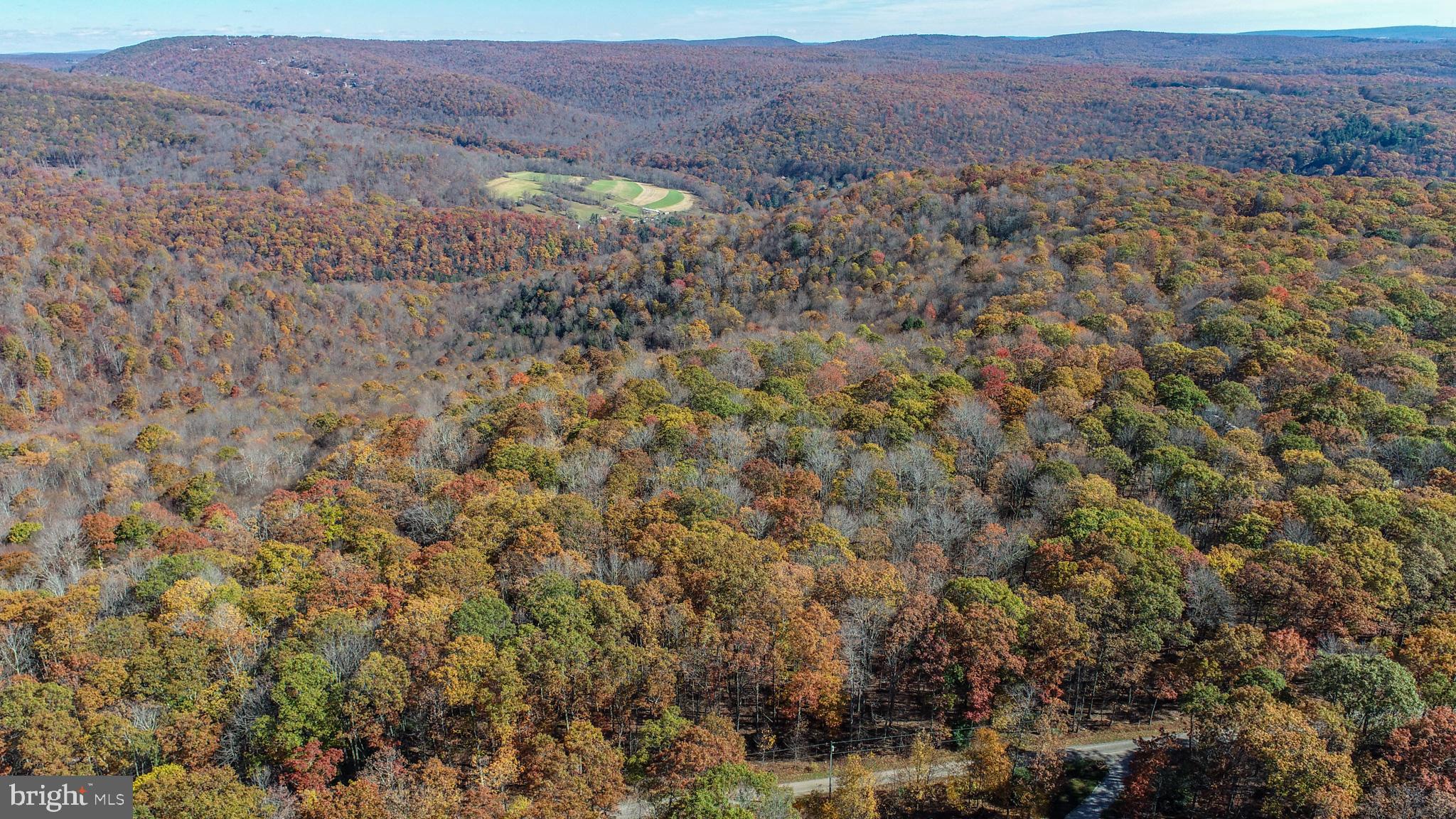 PINEY MOUNTAIN CORP - Land