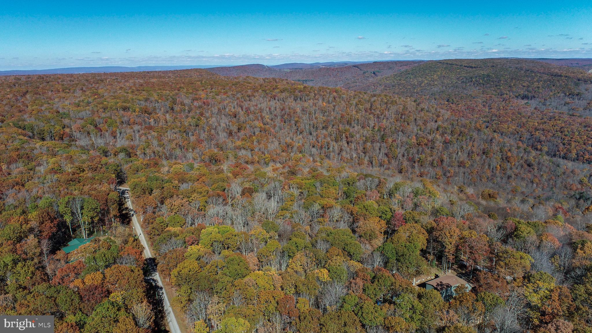 PINEY MOUNTAIN CORP - Land