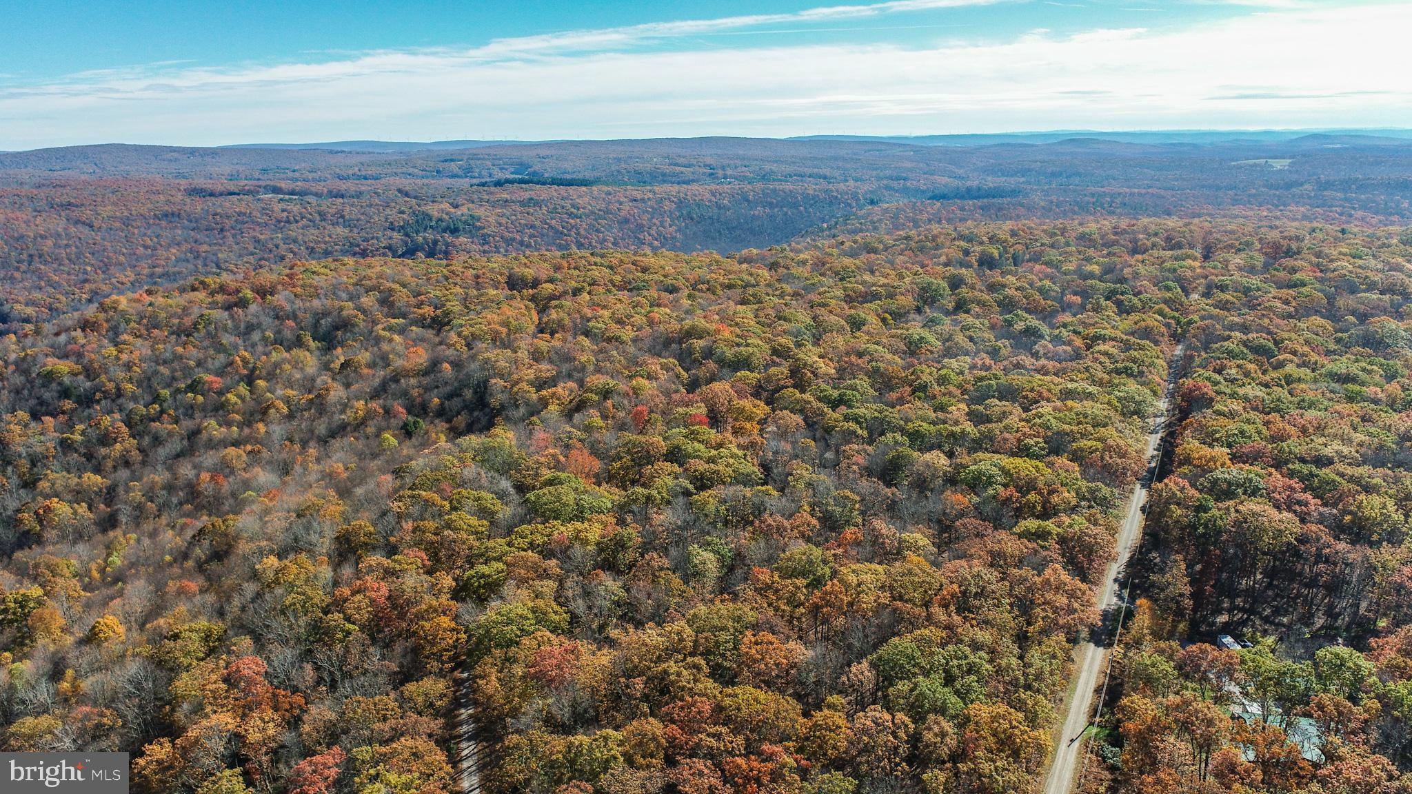 PINEY MOUNTAIN CORP - Land