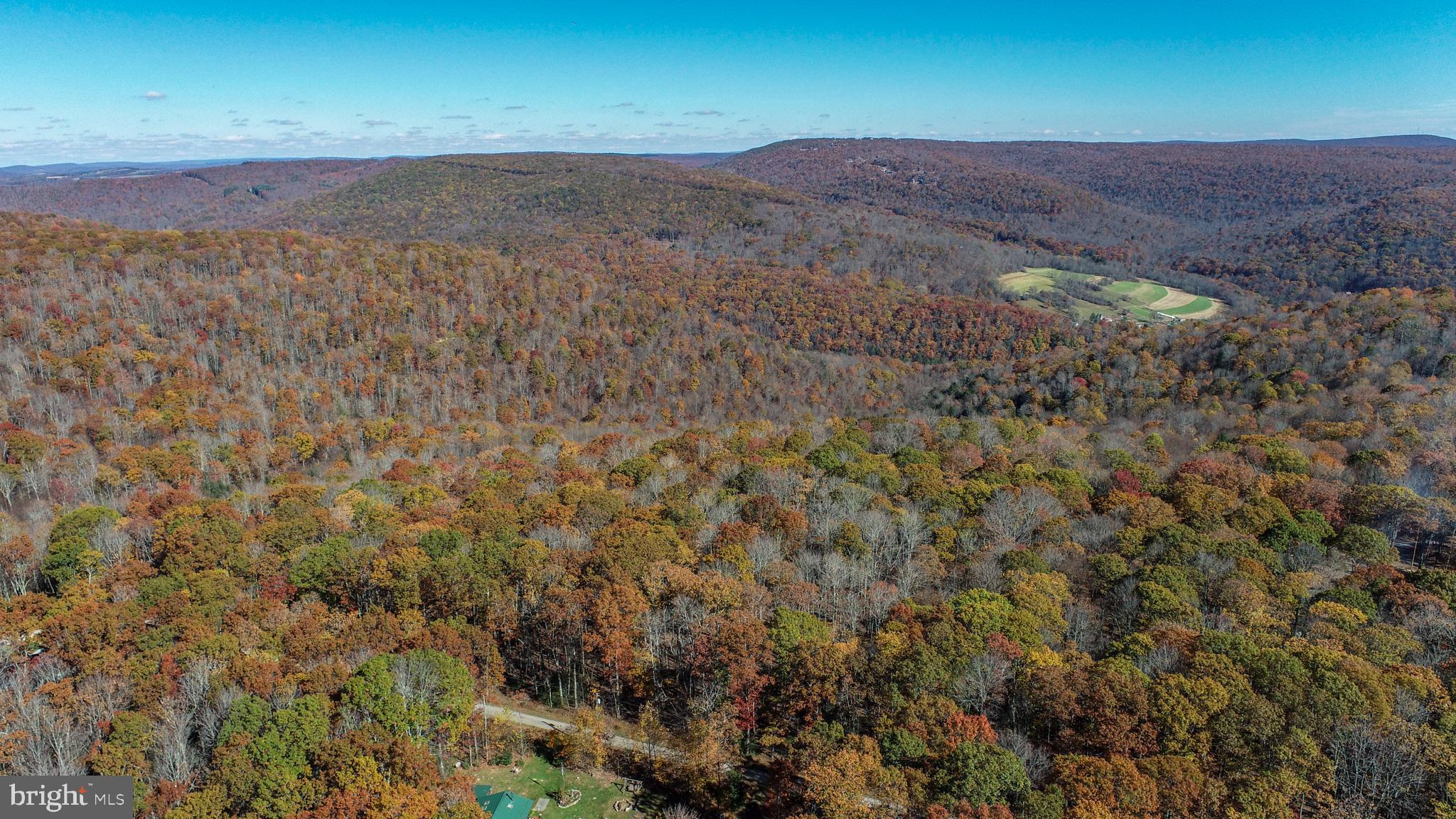 PINEY MOUNTAIN CORP - Land