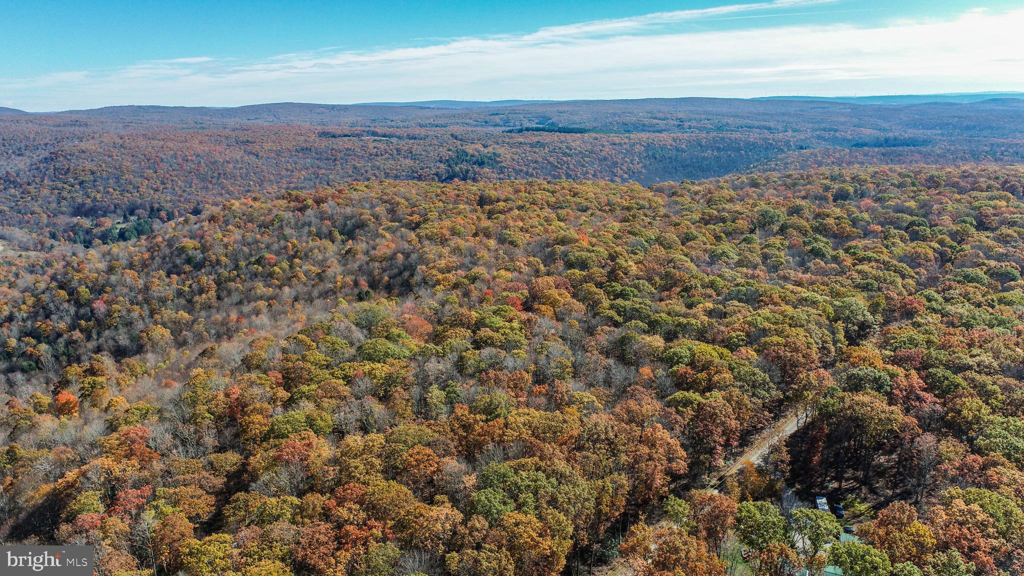 PINEY MOUNTAIN CORP - Land