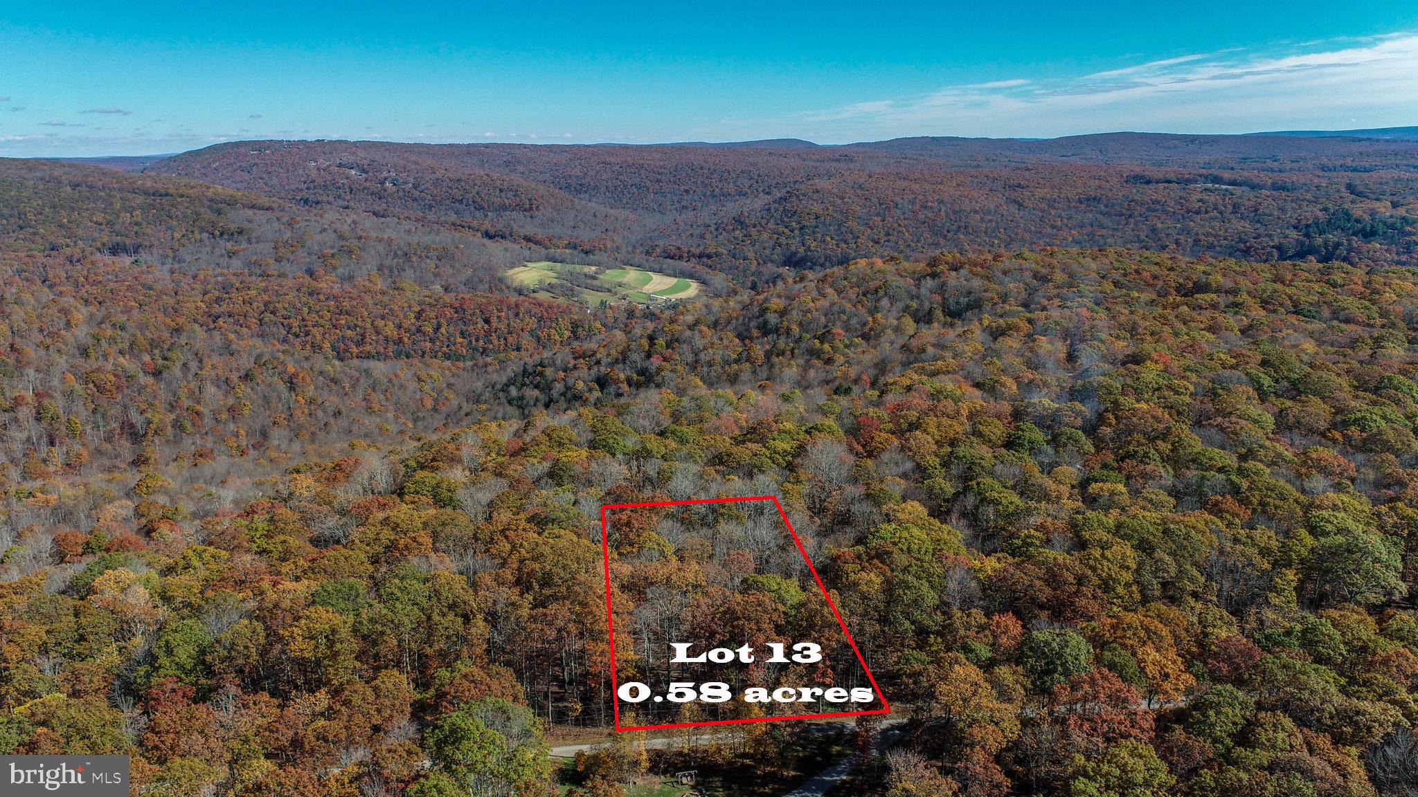 PINEY MOUNTAIN CORP - Land